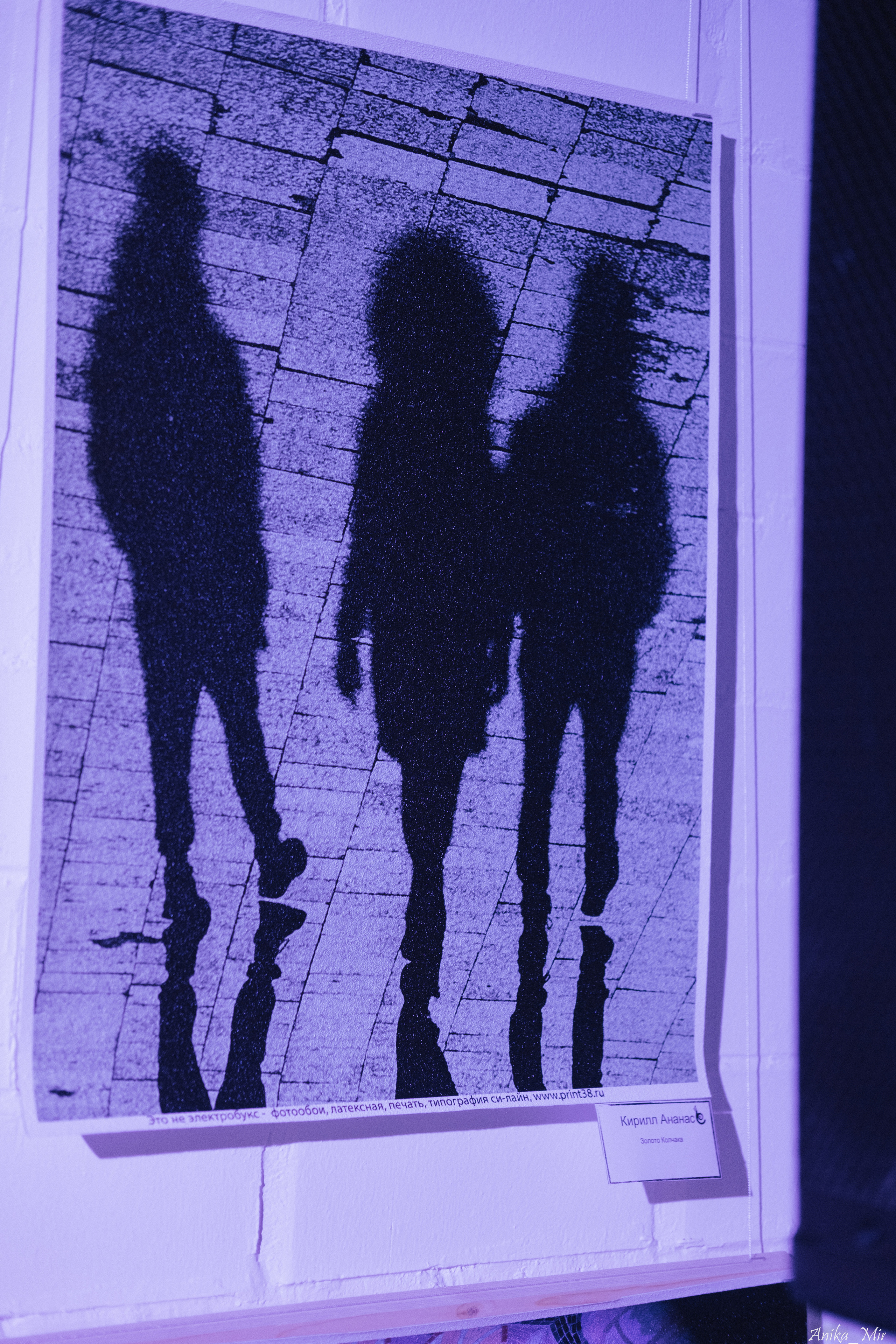 Выставка Sensivity. Фотограф в Иркутске Анна Мирошникова