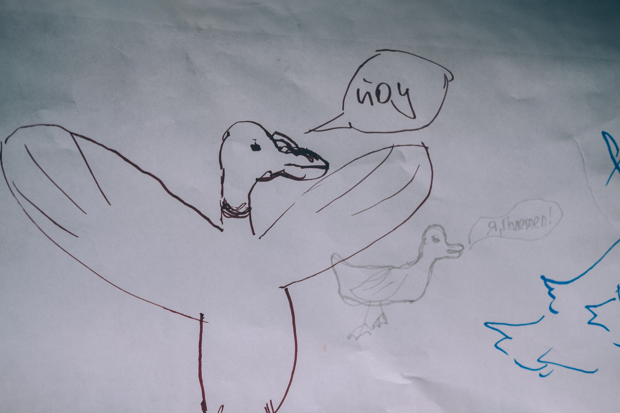 Отпусти Гуся. Фотограф в Иркутске Анна Мирошникова