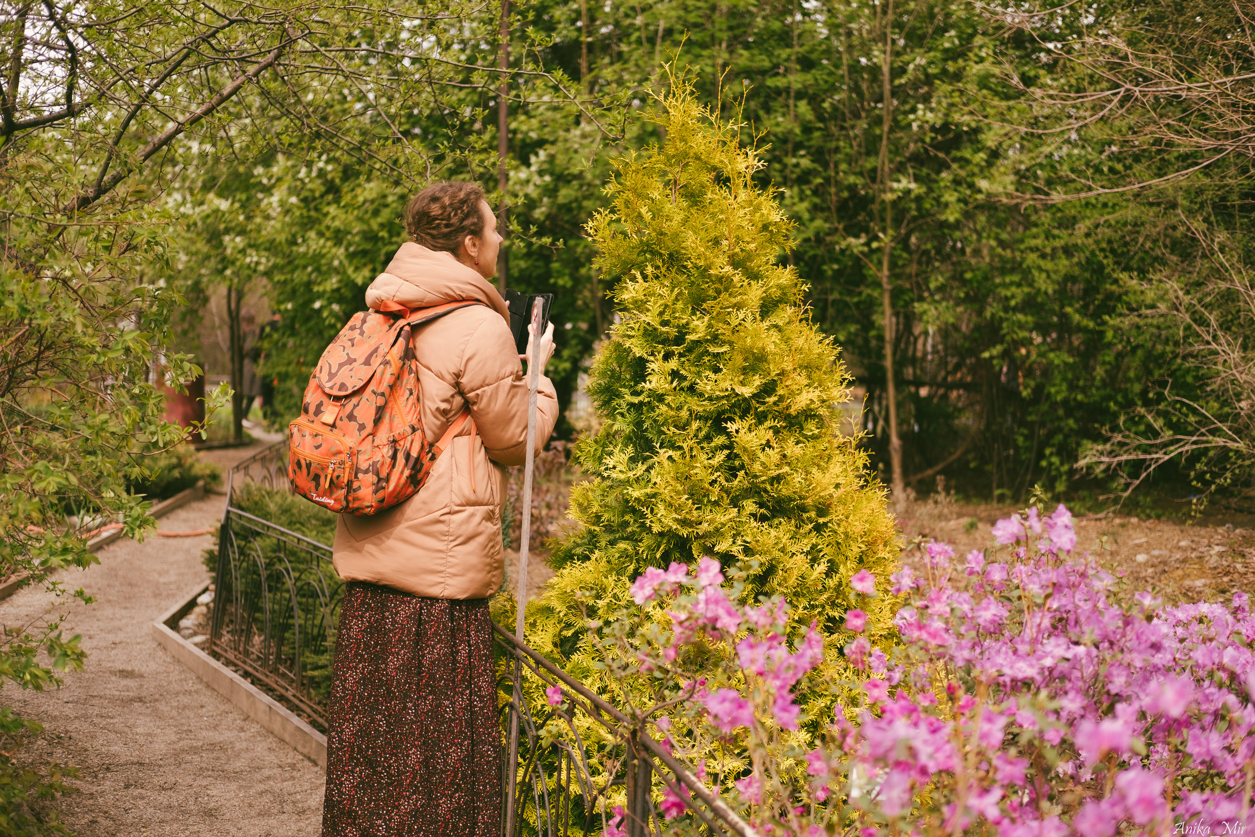 Праздник цветения сакуры. Фотограф в Иркутске Анна Мирошникова