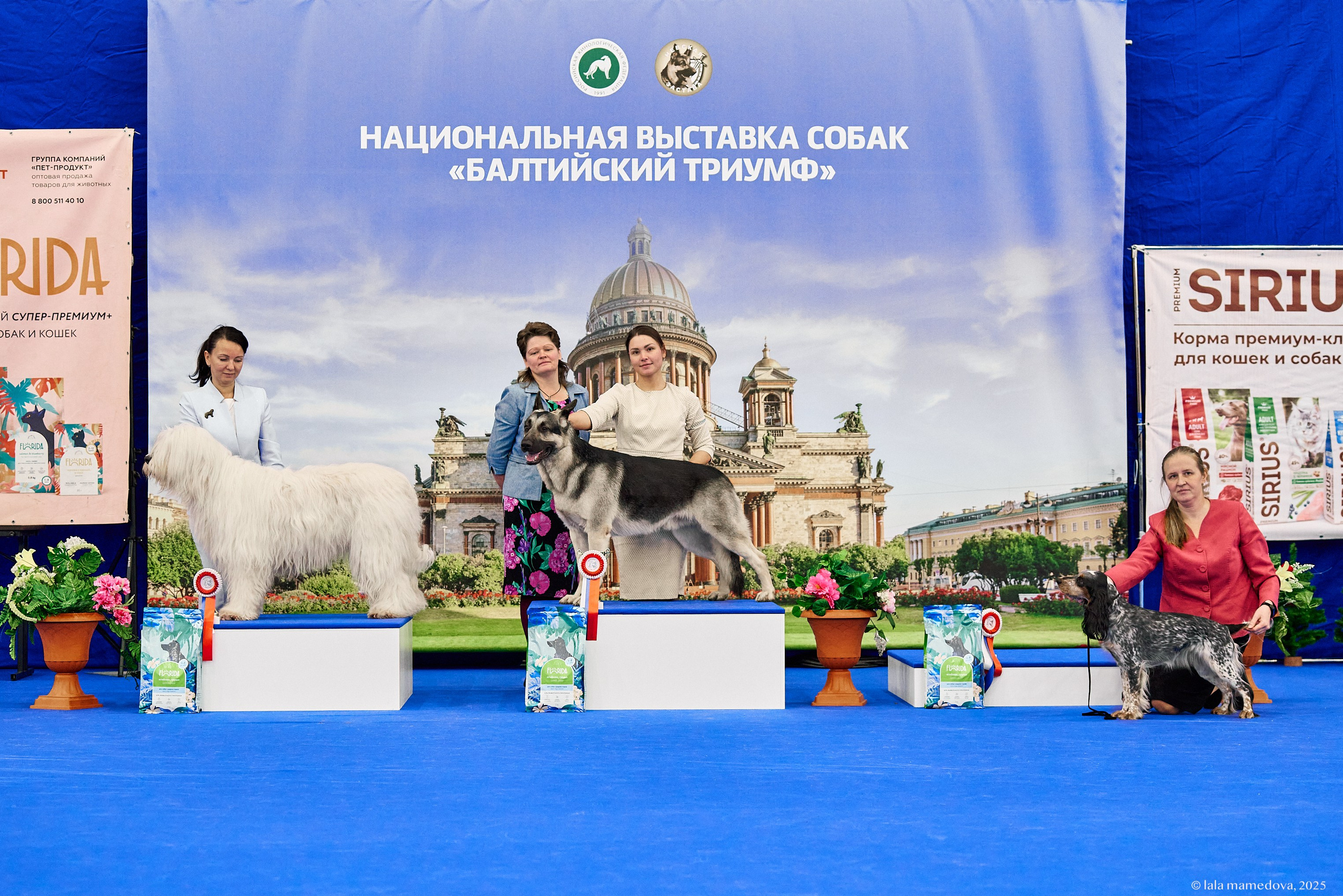 22-23 FEB 2025 | NATIONAL DOG SHOW «BALTIC TRIUMPH-2025»