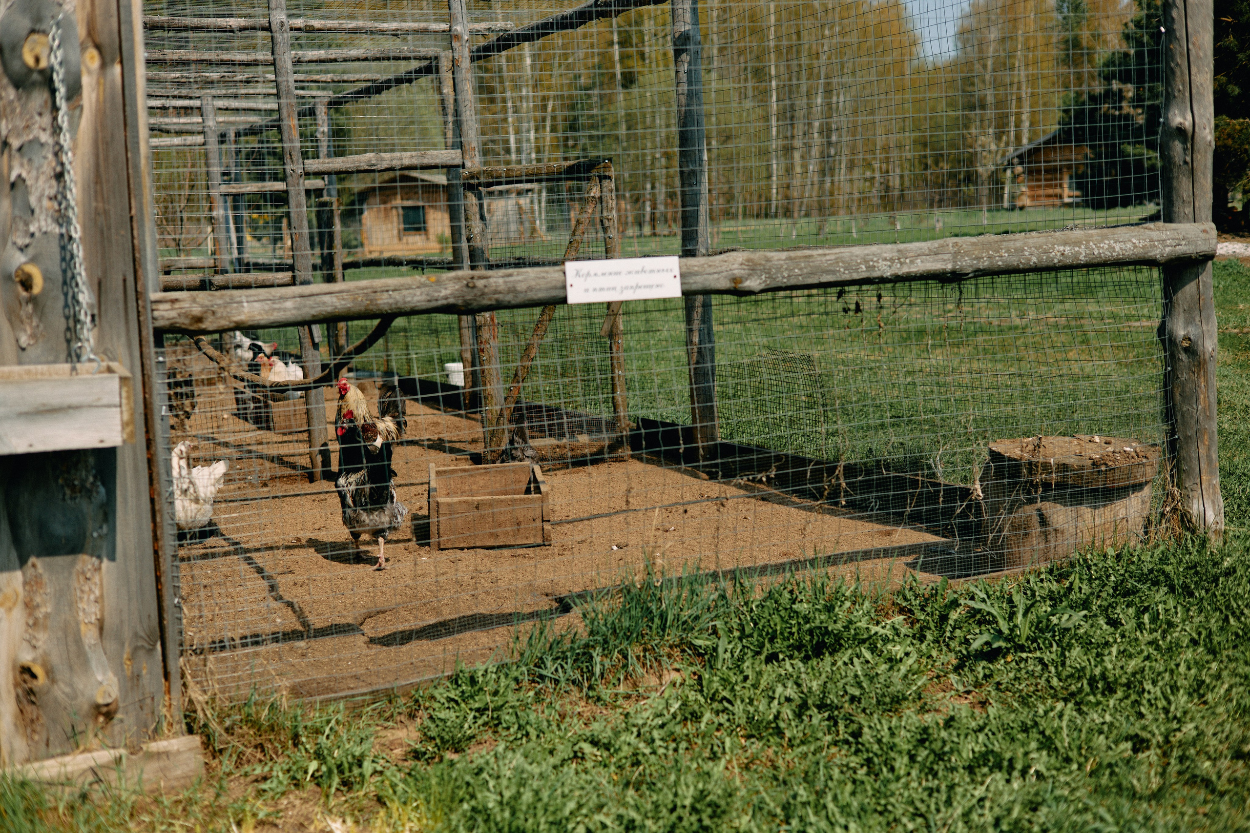 Бутик-отель Поле летом. Профессиональный Фотограф во Владимире, в Москве и в Суздале — Полина Романычева