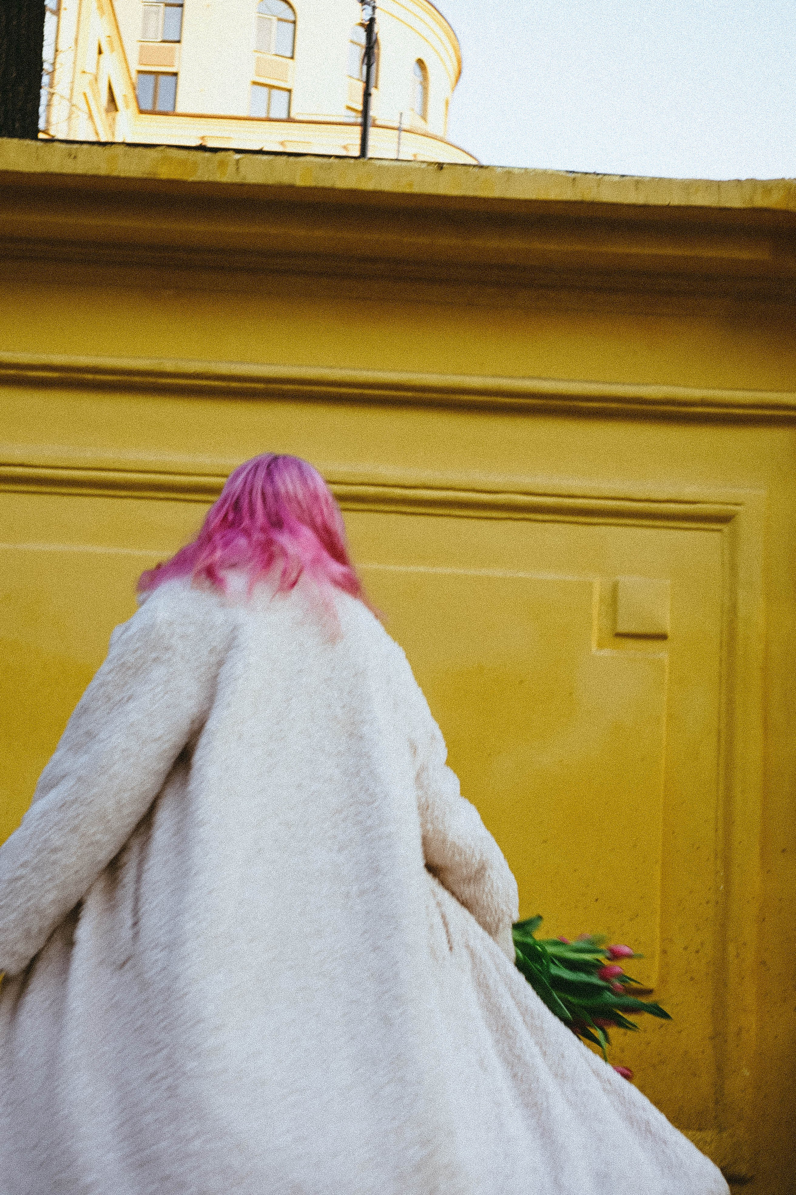 Тюльпаны. Профессиональный фотограф, Санкт-Петербург — Виктория Богомолова