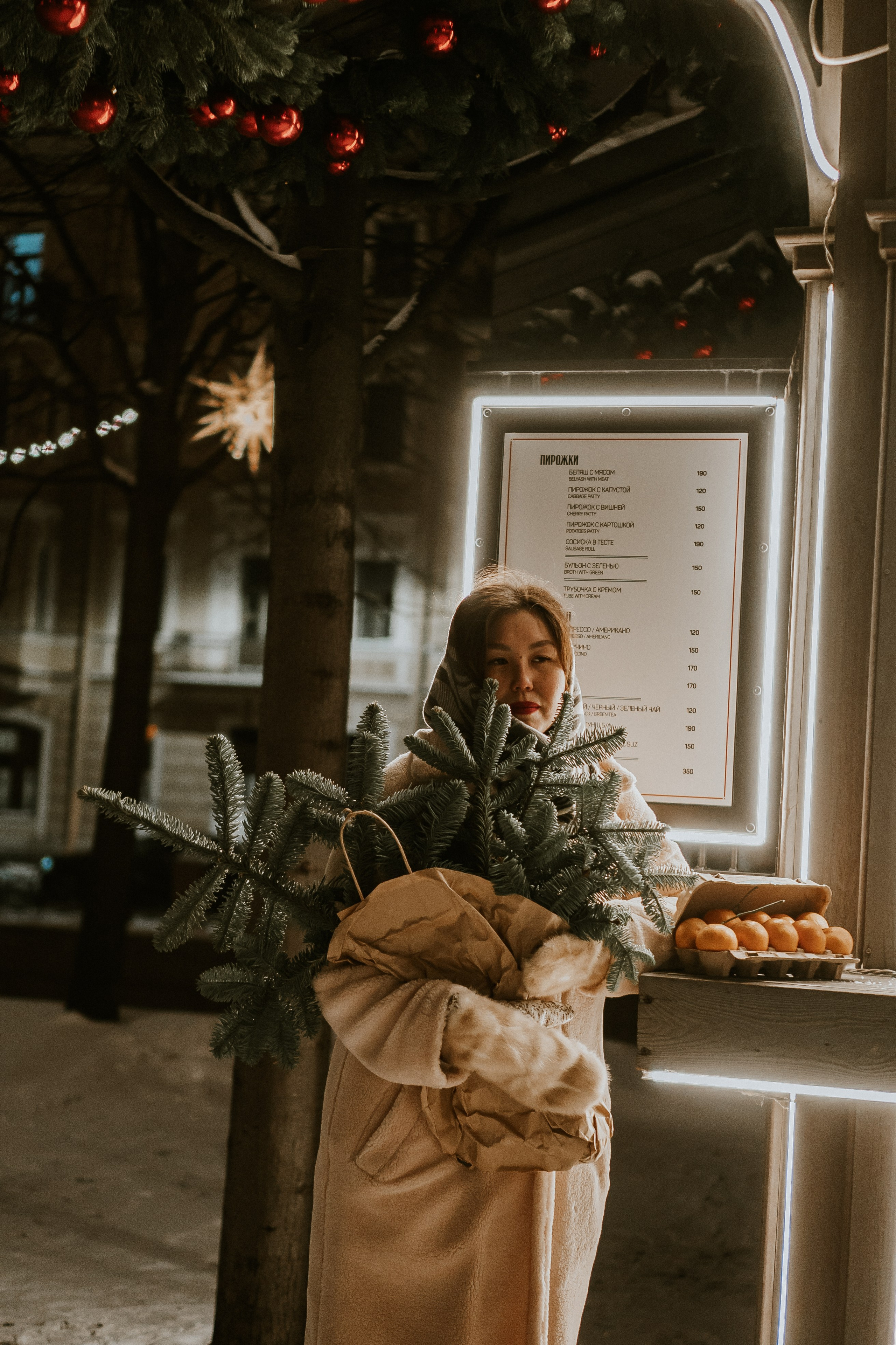 Зимняя сказка в Новой Голандии. Профессиональный фотограф, Санкт-Петербург — Виктория Богомолова
