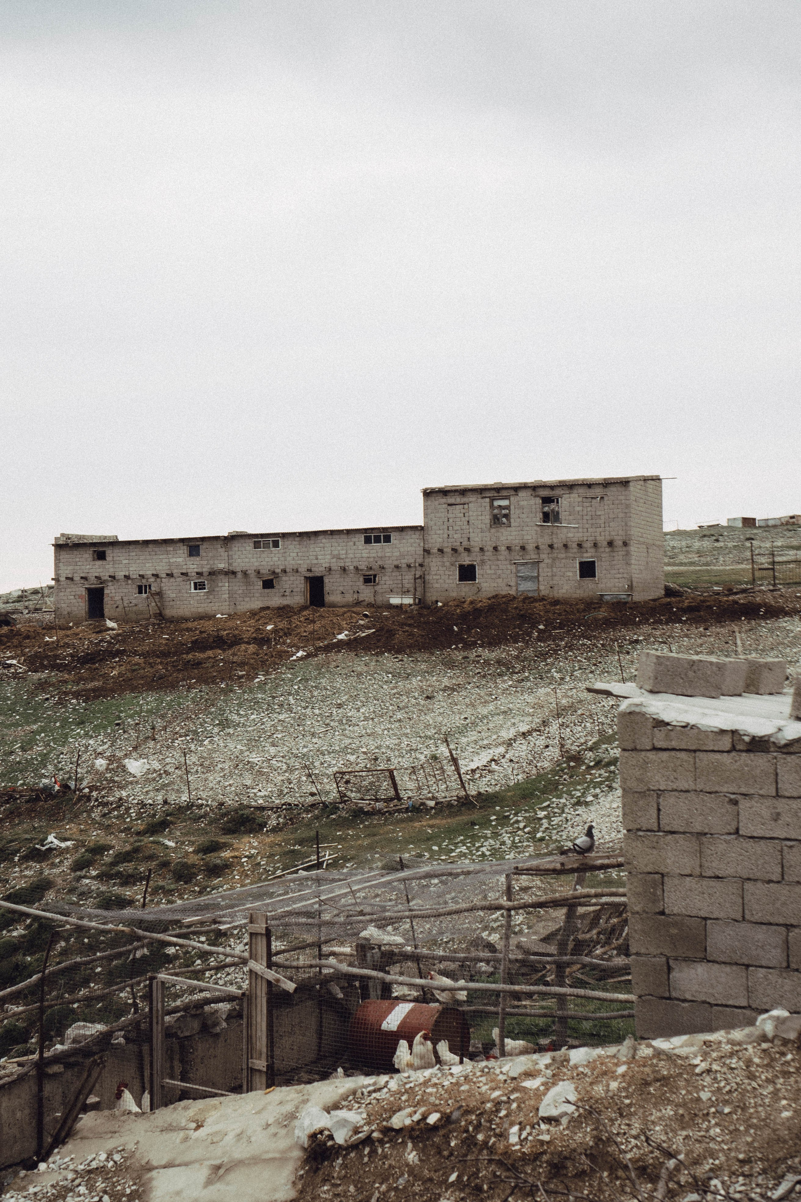 Кавказ. Профессиональный фотограф, Санкт-Петербург — Виктория Богомолова