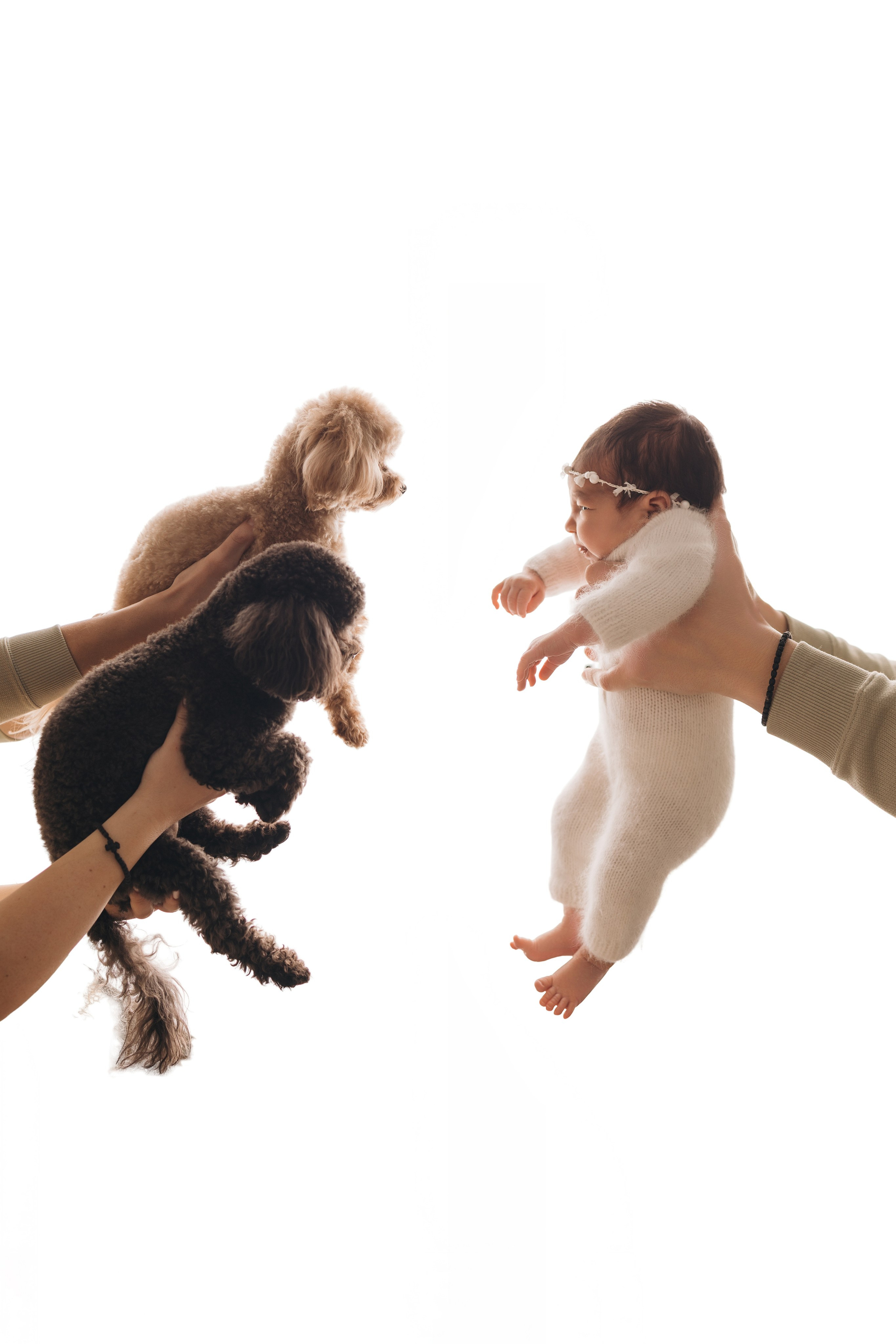 Арина. Фотограф новорождённых Newborn Москва
