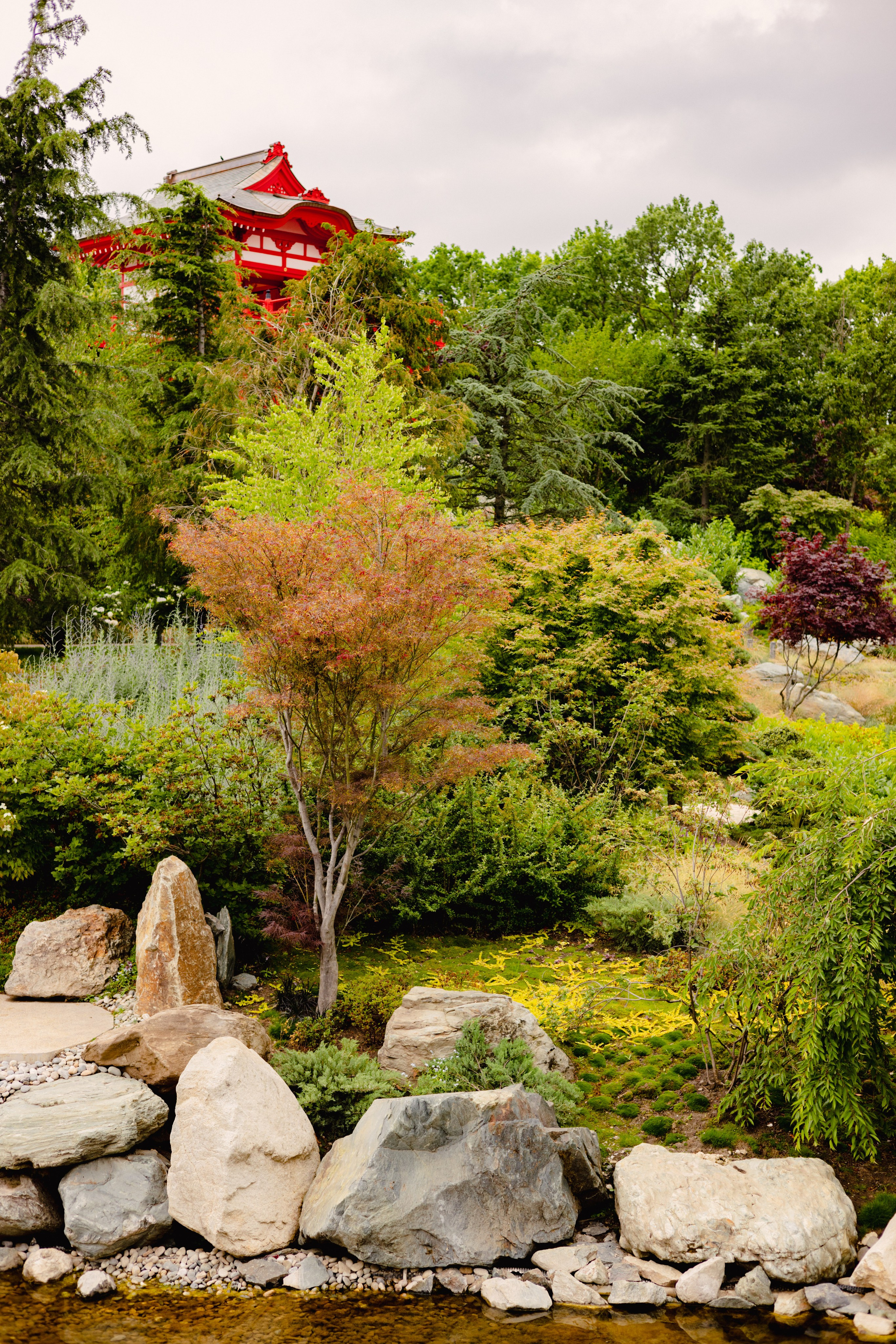 Японский сад в Краснодаре. Профессиональный фотограф и видеооператор