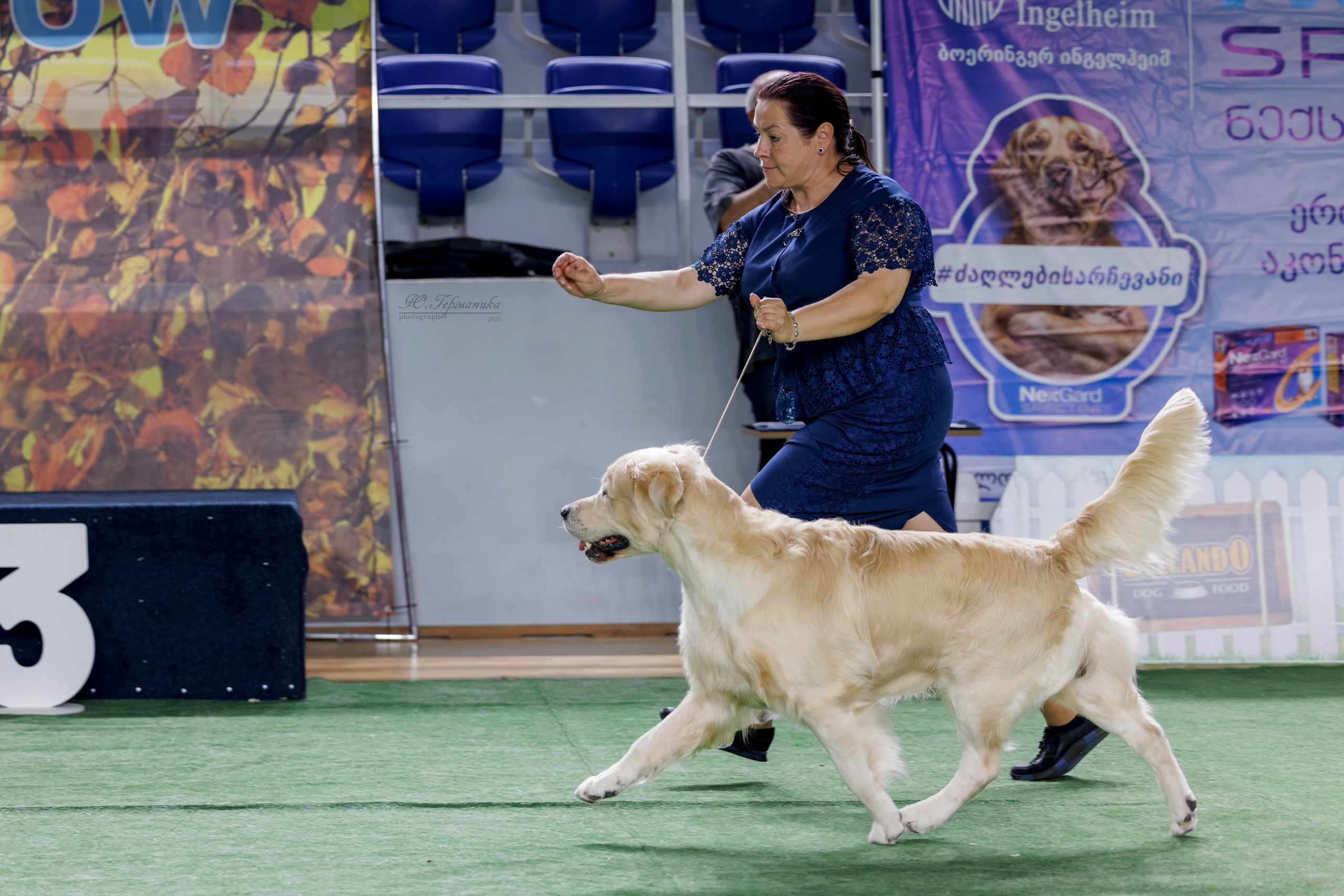 Телави 11-12.10.2025. Фотограф-анималист Юлия Германика