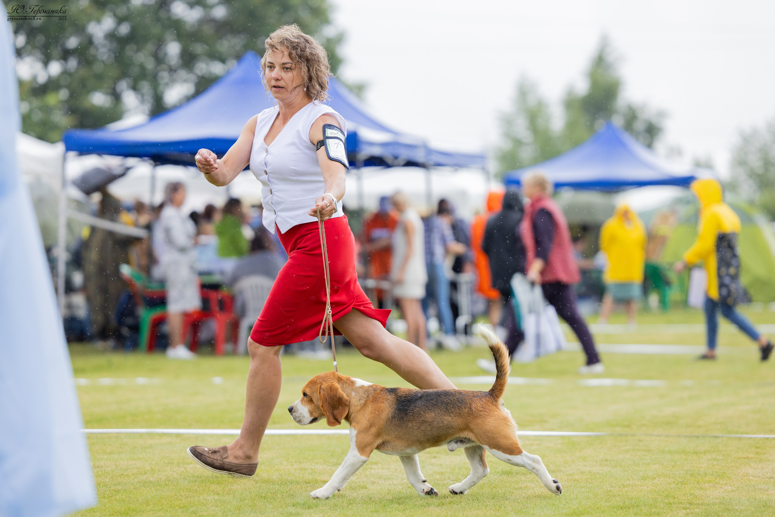 Ярославль 21.07.24 и Балашиха 13.07.24. Фотограф-анималист Юлия Германика