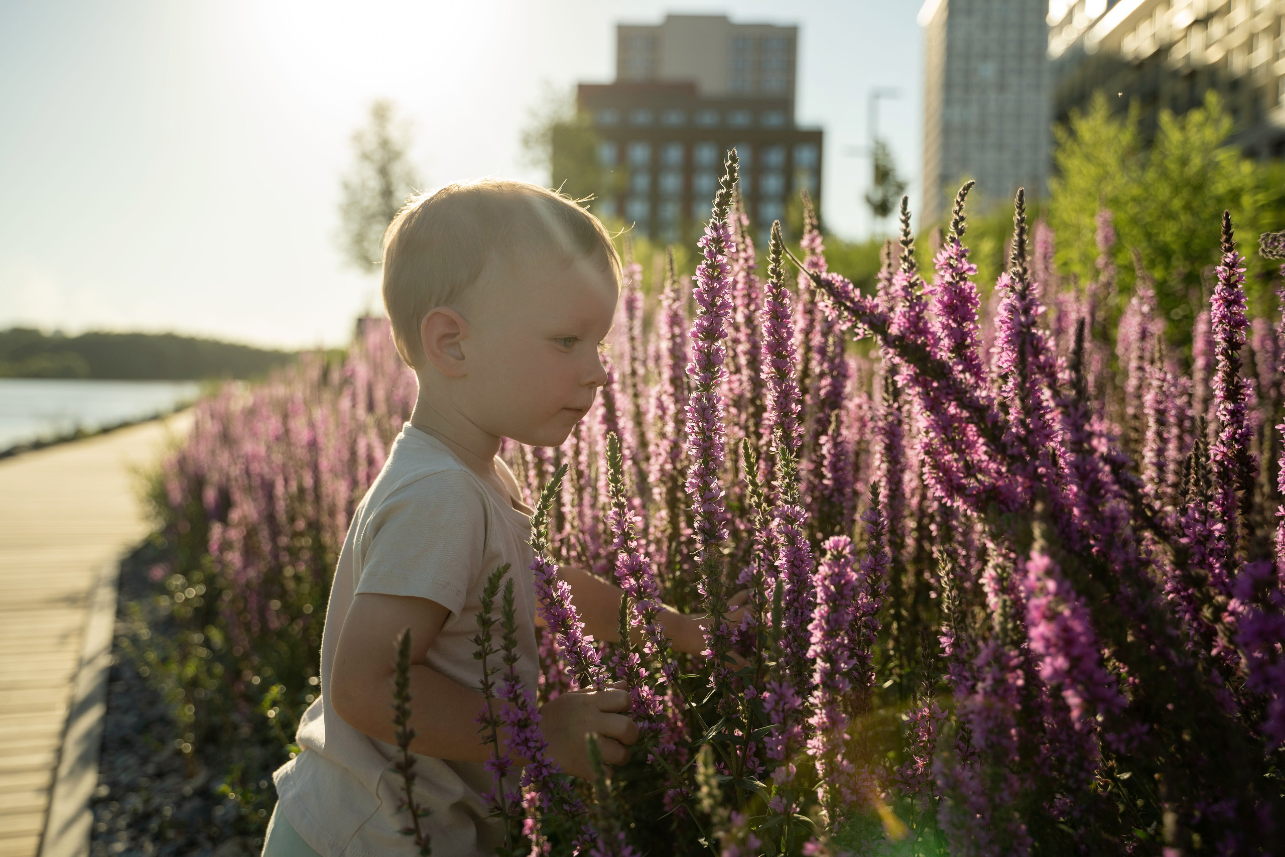 Семейная прогулка. Главная