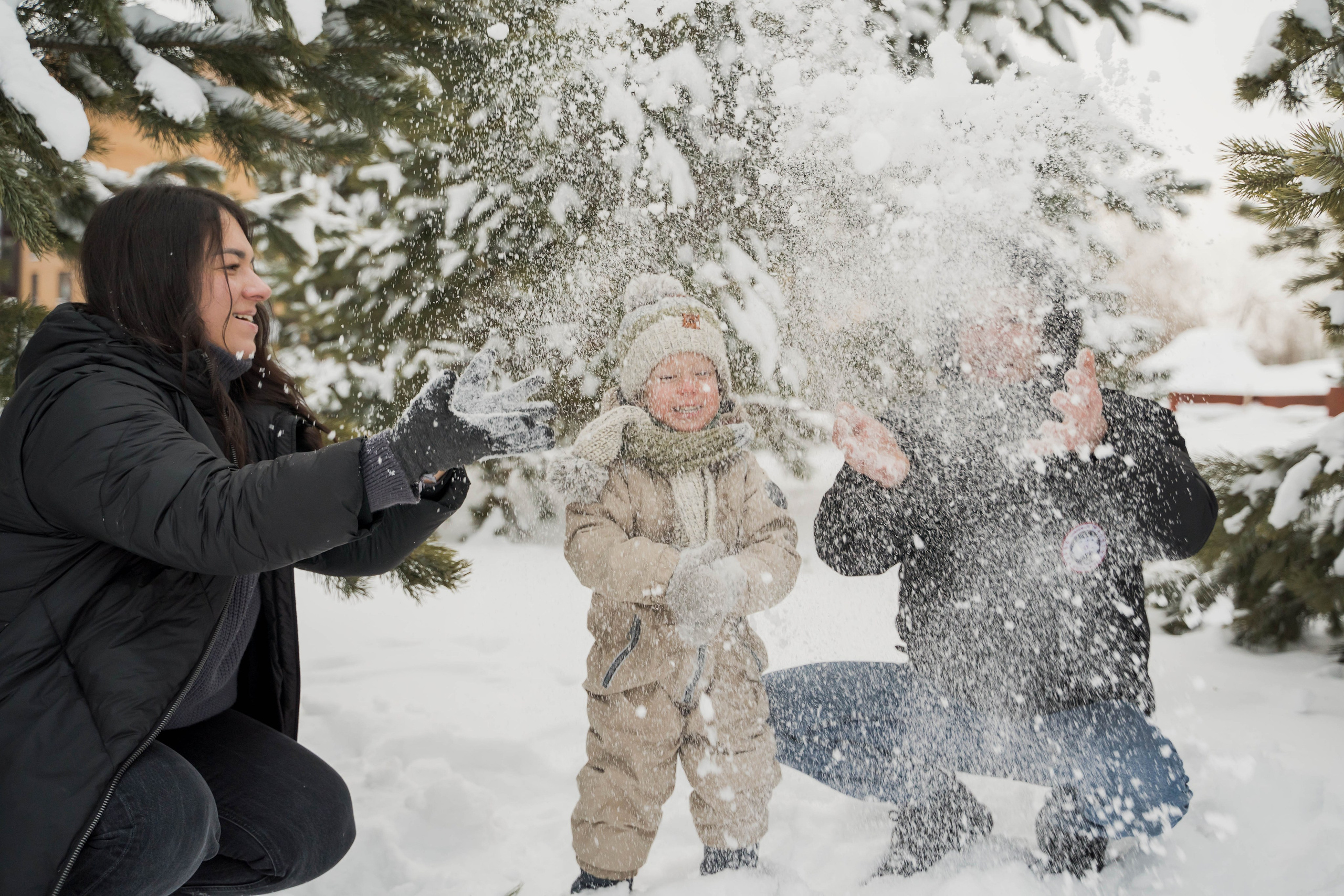 Зимняя прогулка. Главная
