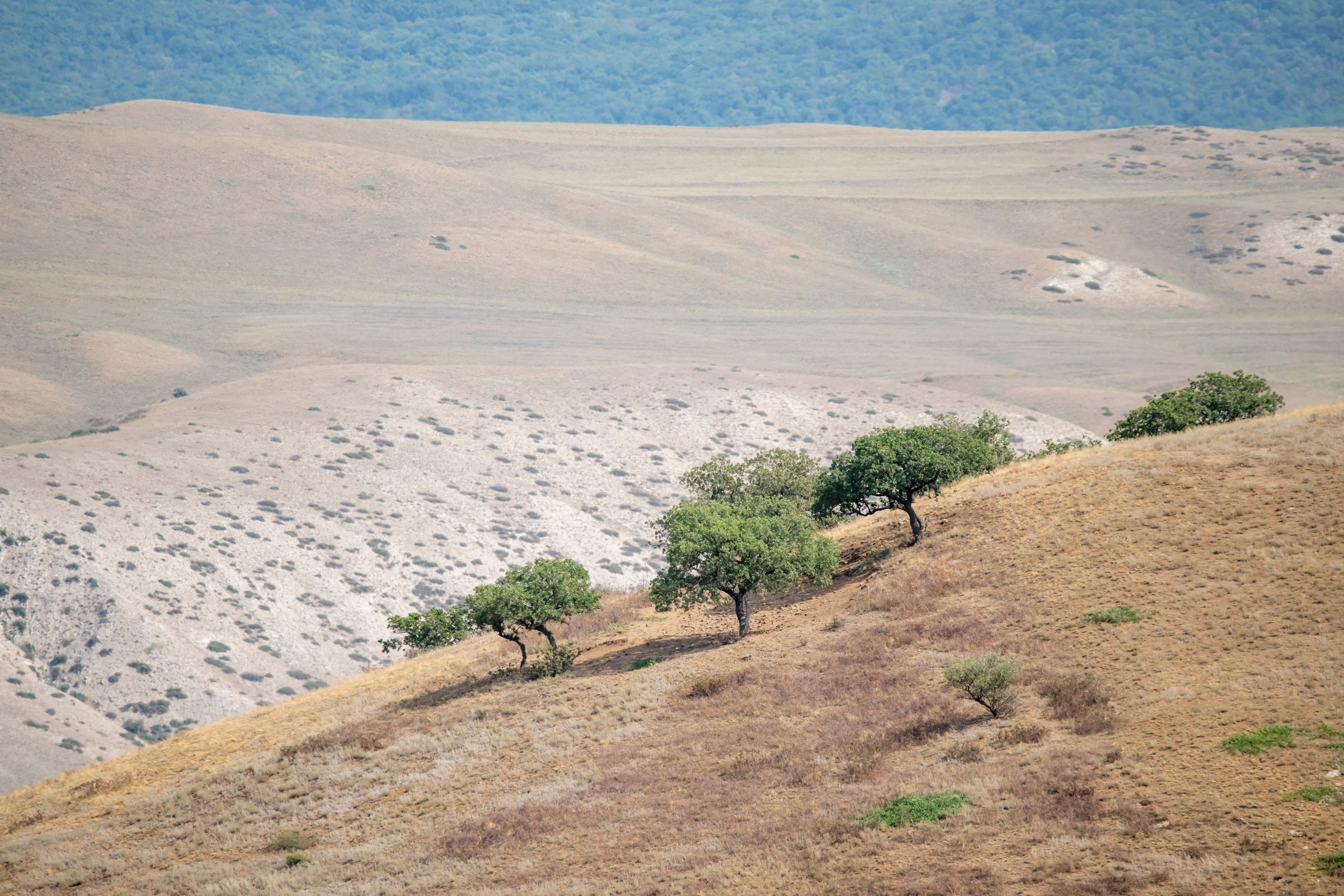 Природа Дагестана, сентябрь 2024. Foto-Zuev фотография как искусство