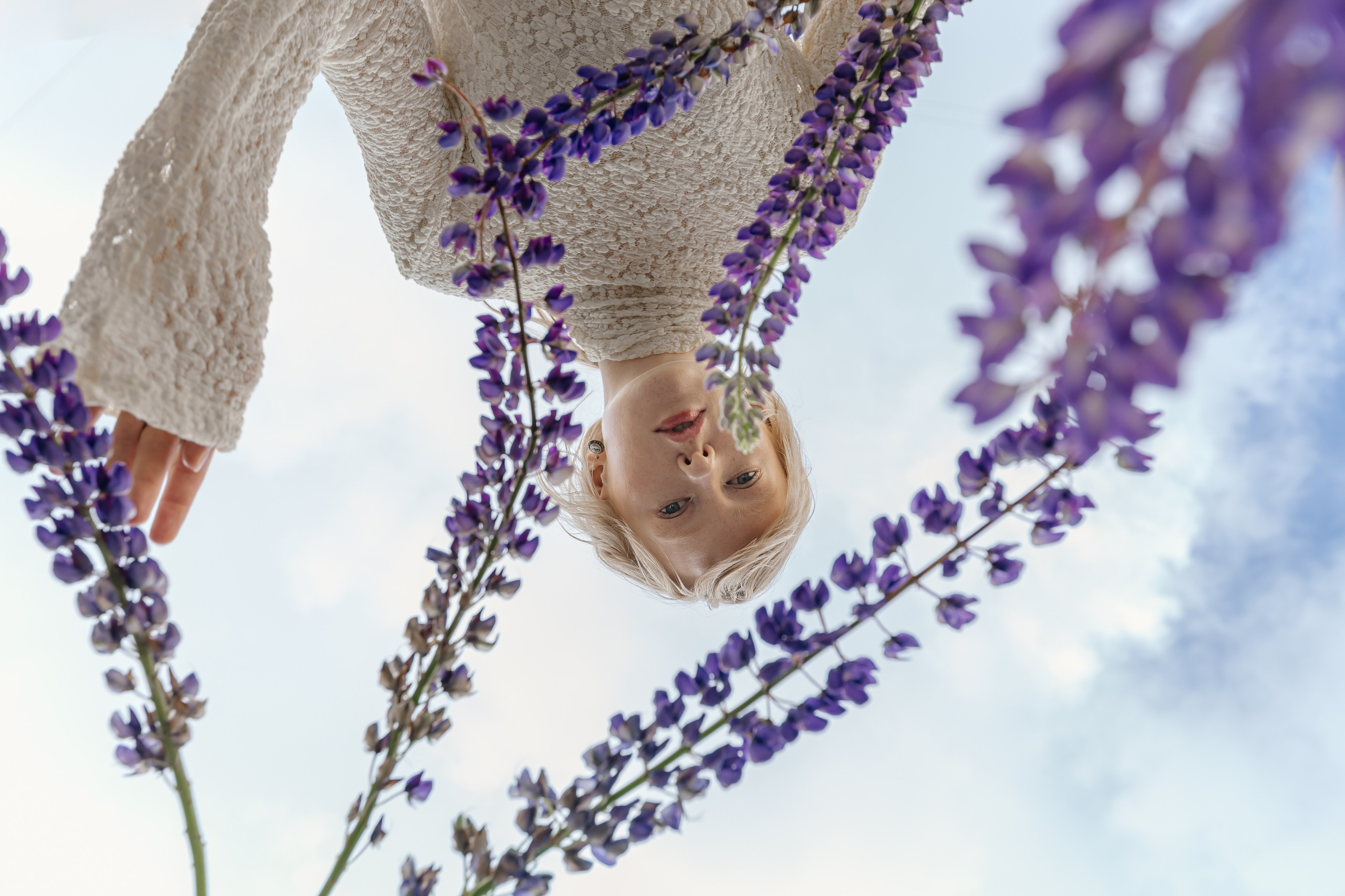 Water glow lupin. Профессиональный фотограф Инесса Новикова в Москве