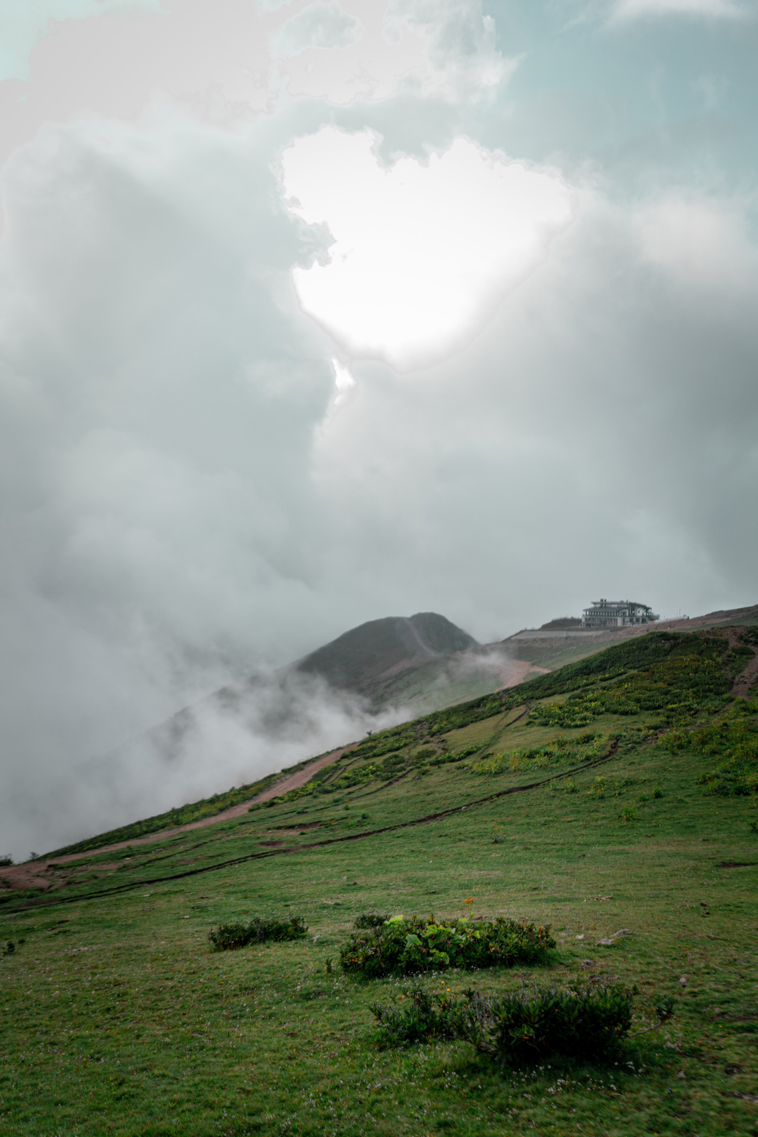 Сочи. Фотограф Александра Волкова | Волгоград