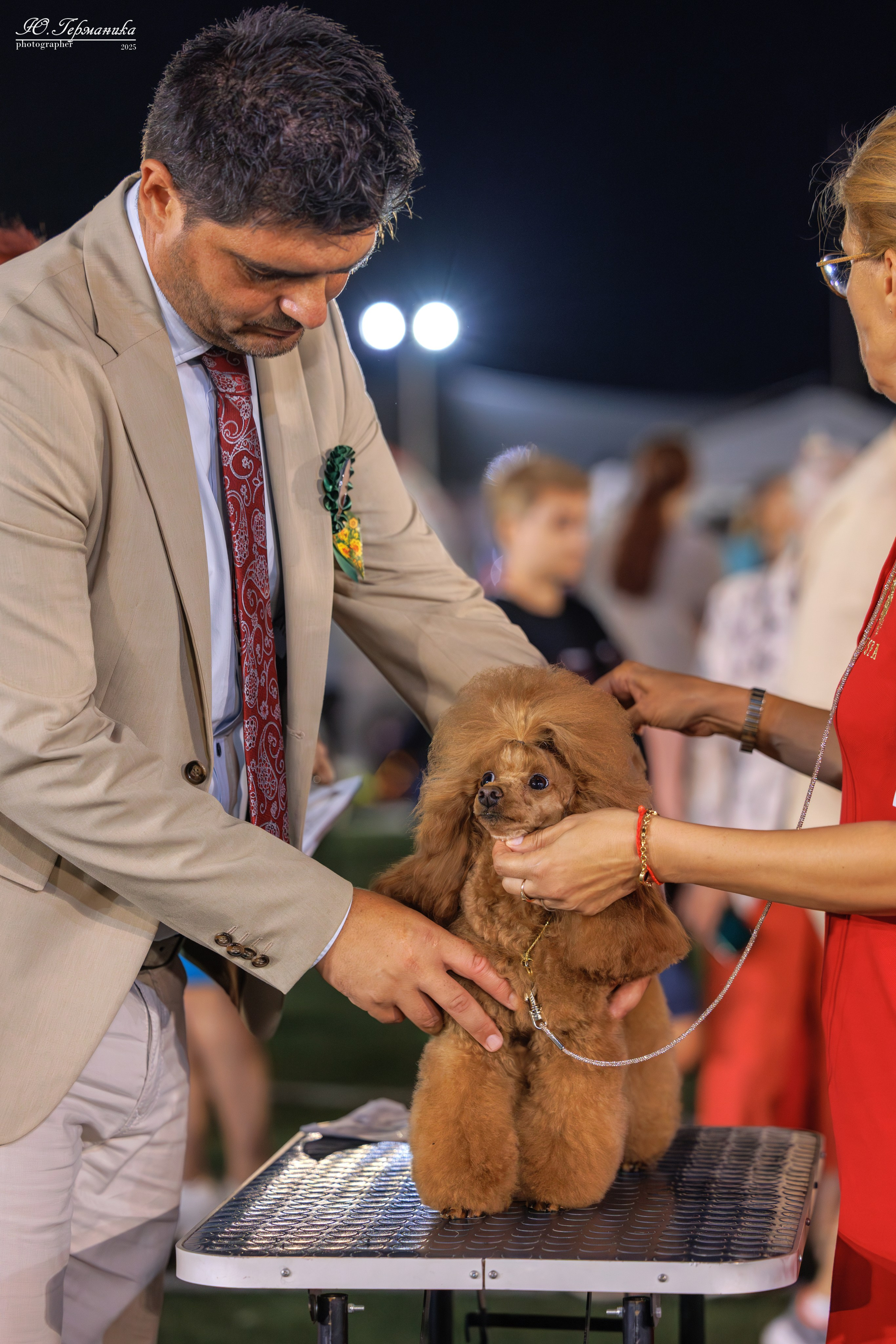 Калининград 25-27.07 Волгоград 1-3.08 2025. Фотограф-анималист Юлия Германика