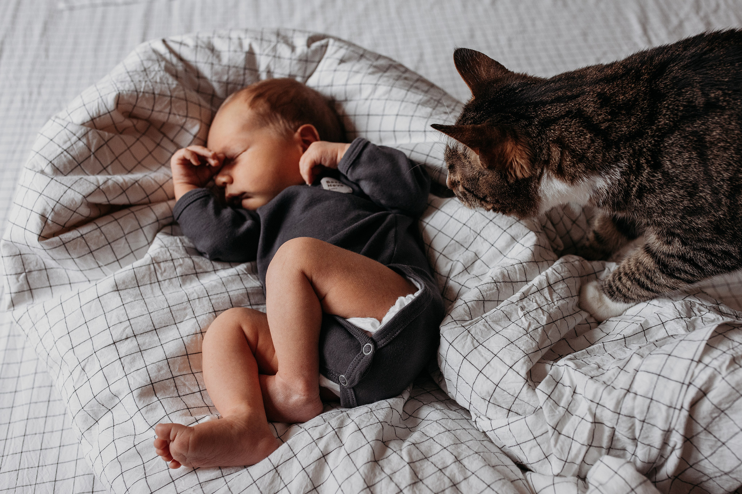 Портфолио (семейные, ньюборн фотосессии). Семейный фотограф Москва