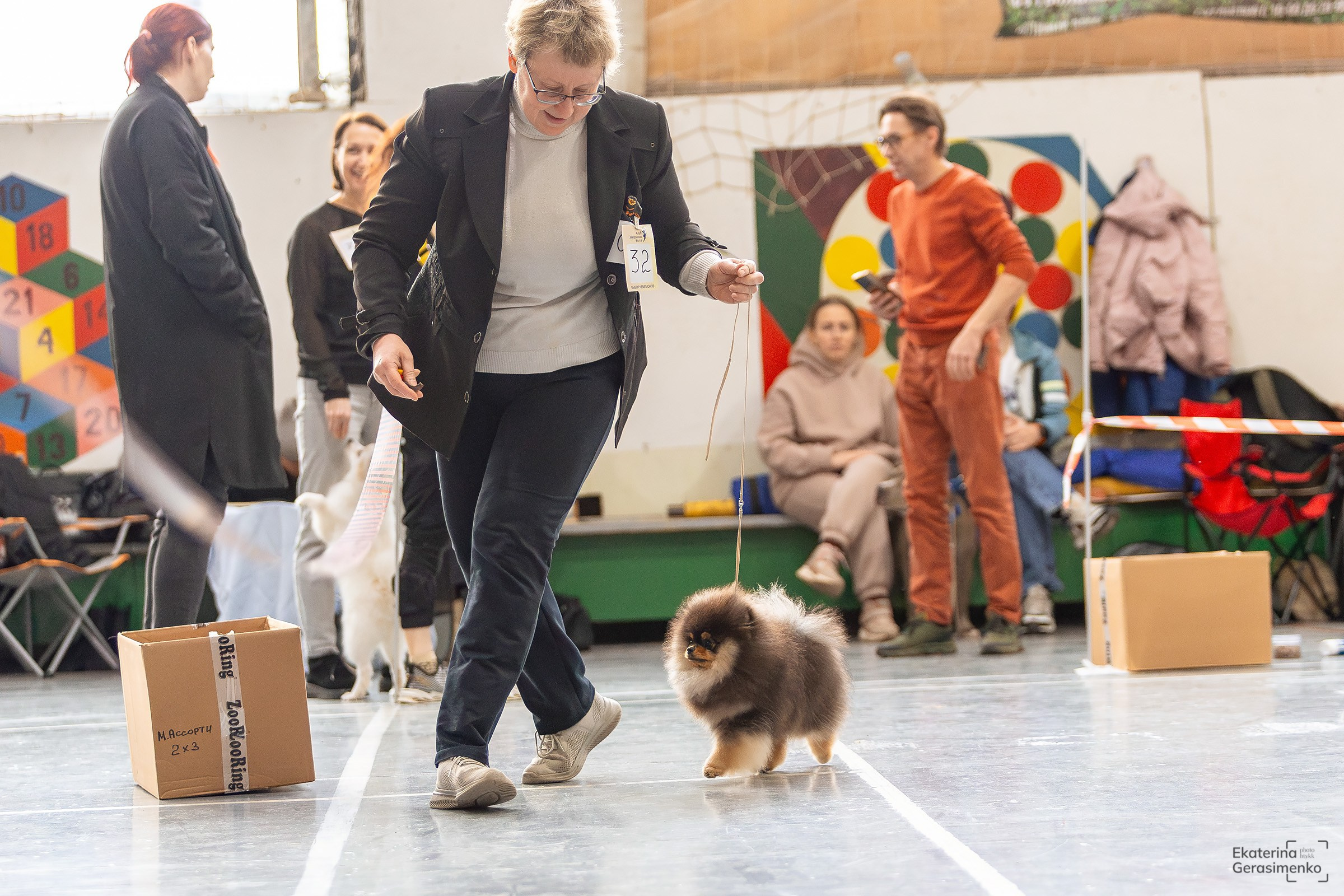 23 ноября 2024, Выставка РКФ, г. Пермь. Htykk_photo