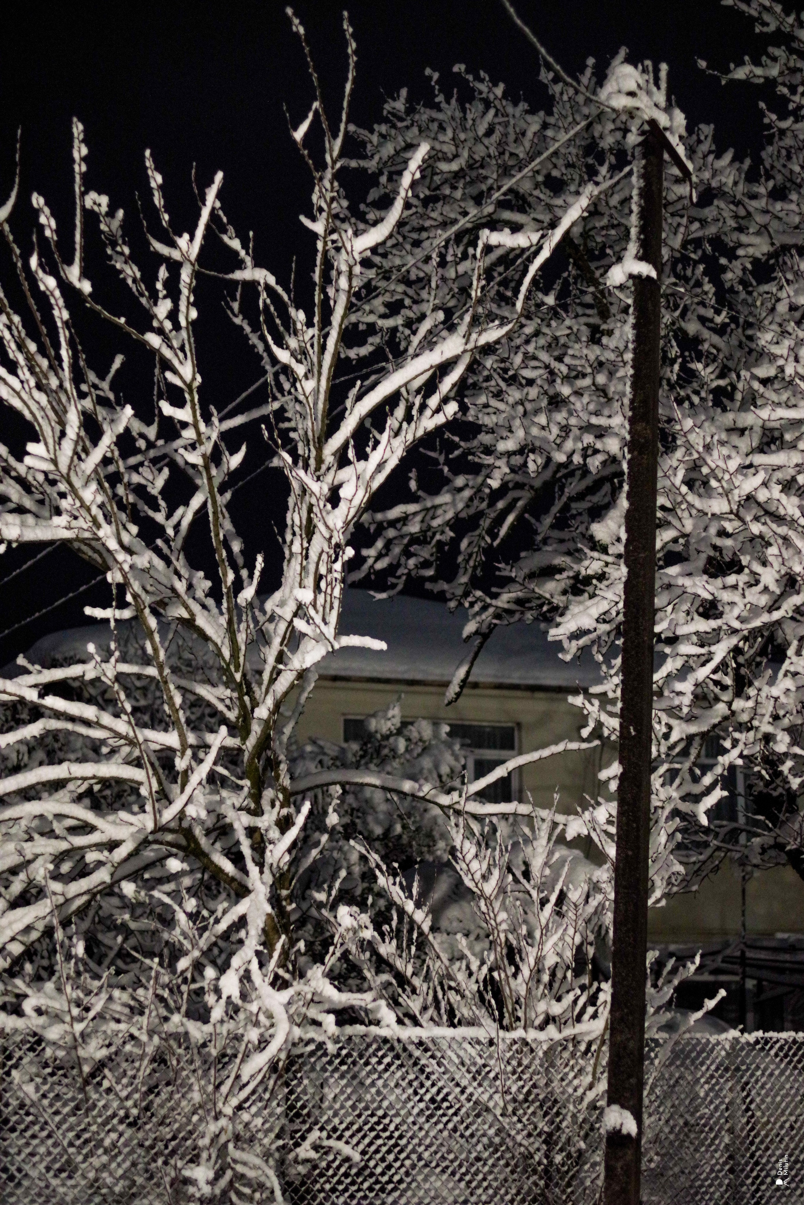 Ночь в Менджи. Портретный фотограф Денис Милютин