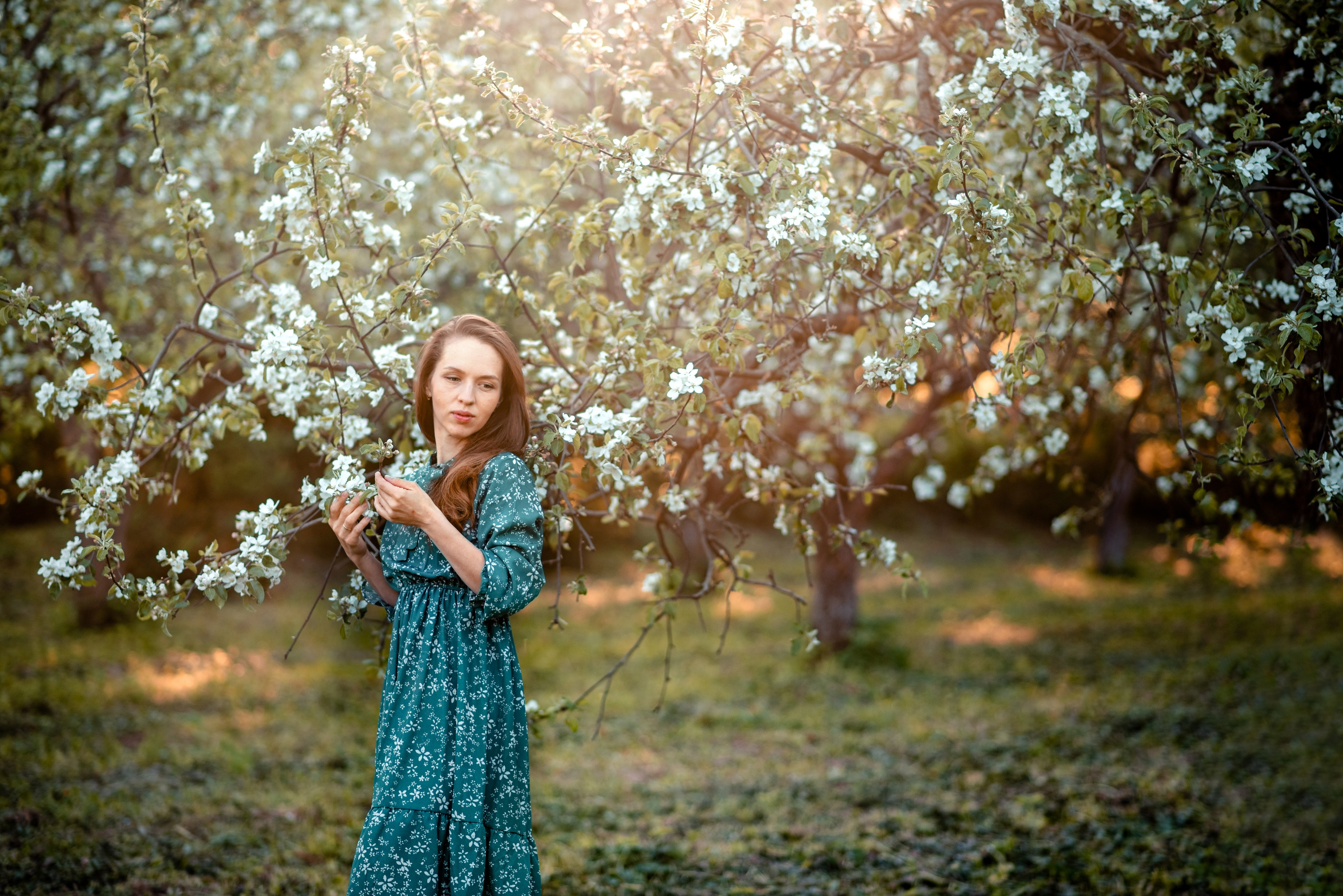 Семейная фотосессия в цветении. Ясная Поляна. Семейный и детский фотограф в Туле Светлана Воронкова