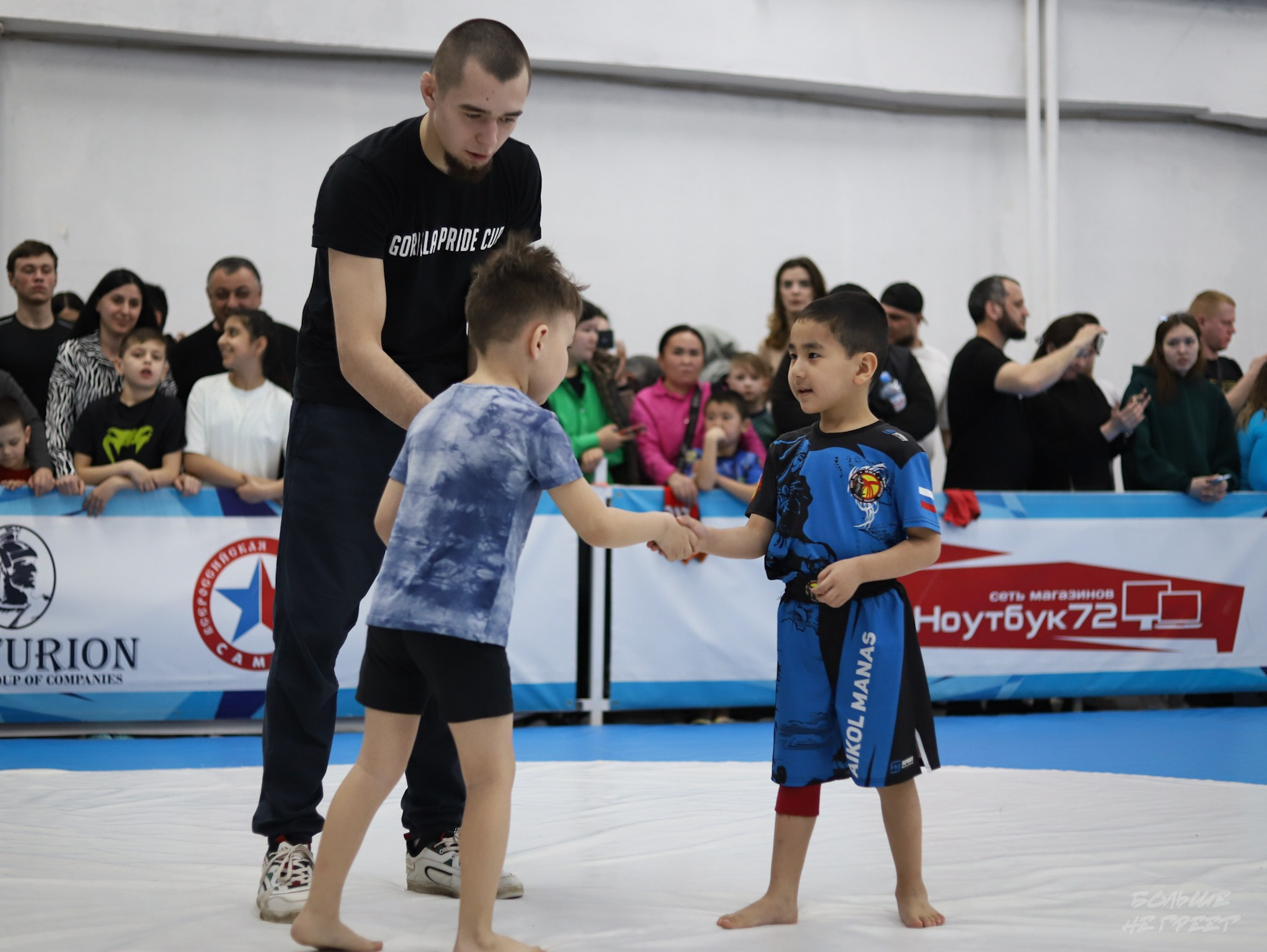 GORILLA PRIDE CUP. Больше не греет