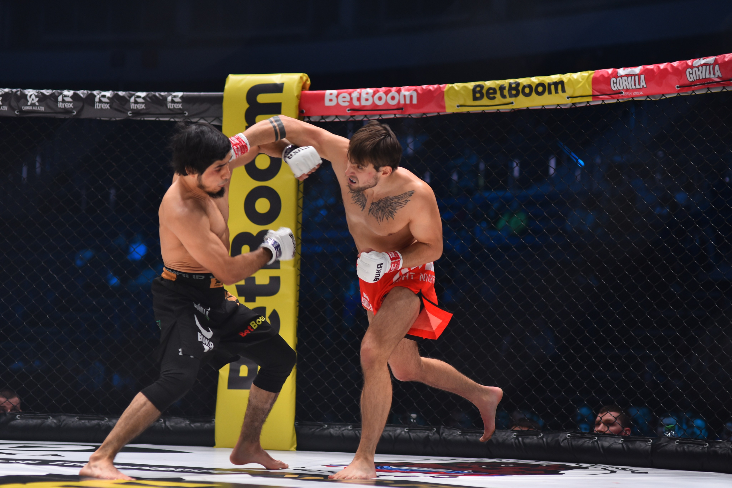 Фото спортивных мероприятий и награждений спортсменов. Фотоуслуги, услуги фотографа, фотографирование важных событий