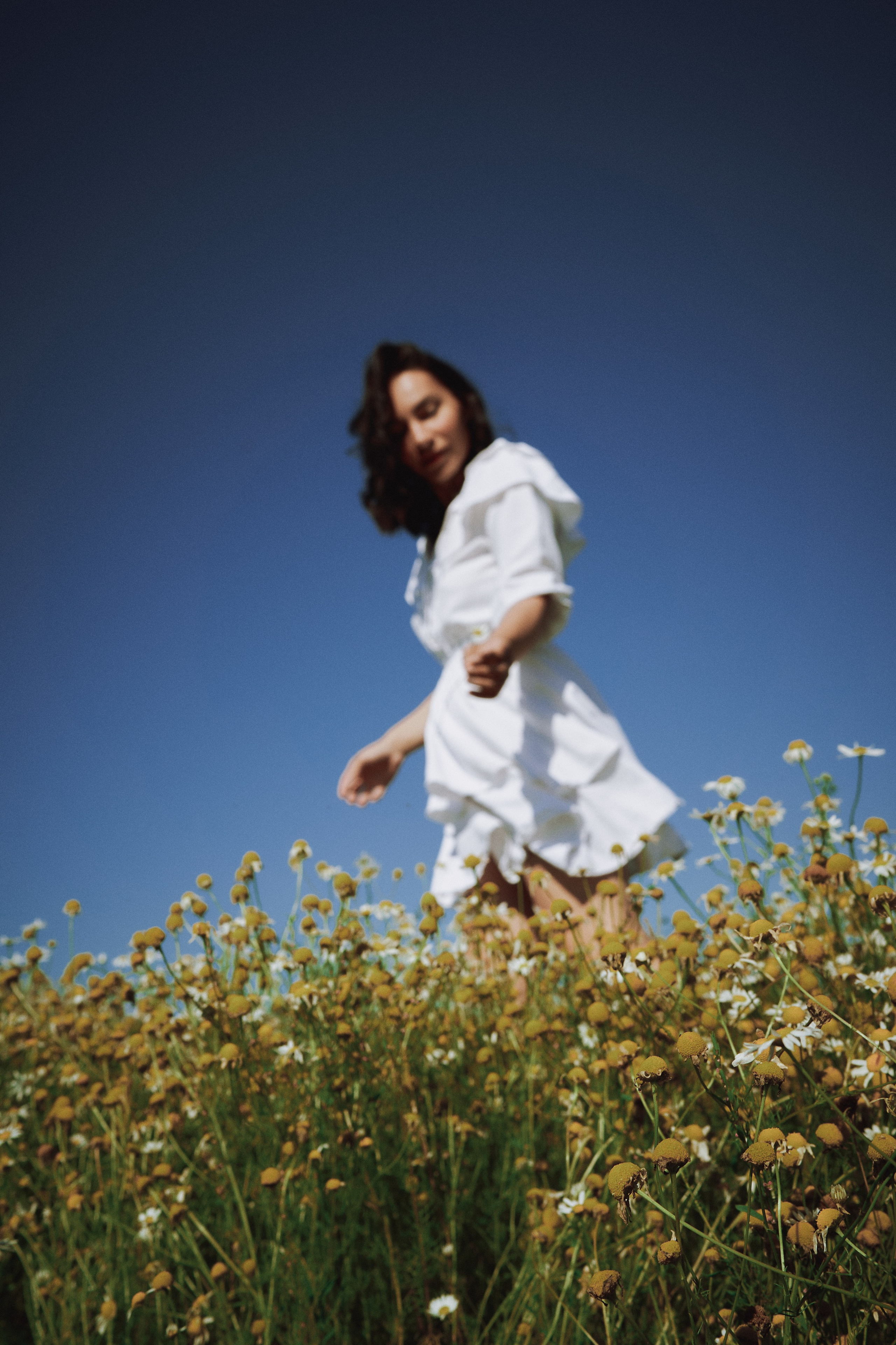 Поле с ромашками. Фотограф в Санкт-Петербурге | Аня Маленчук