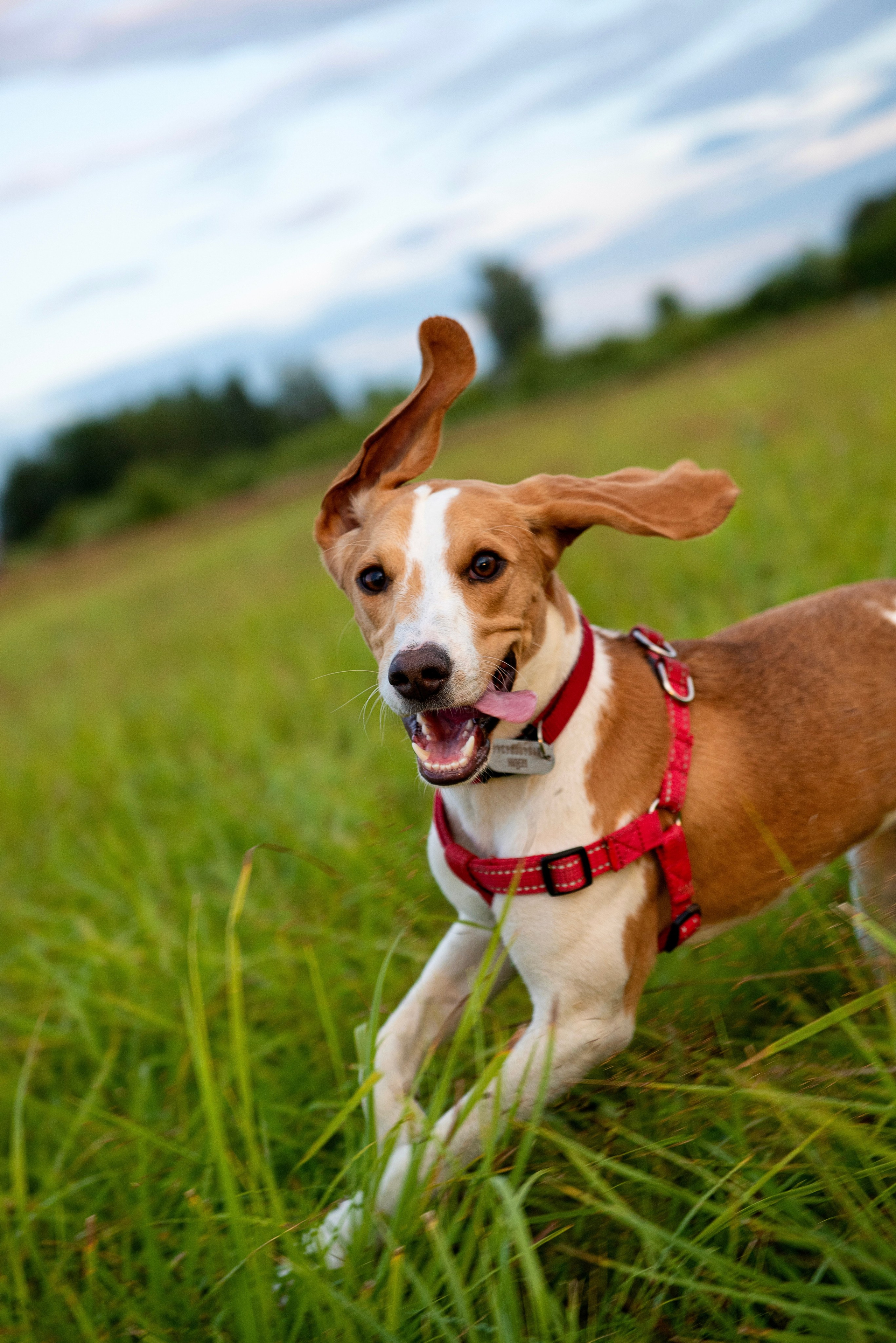 Дарья и Юлиан. Главная