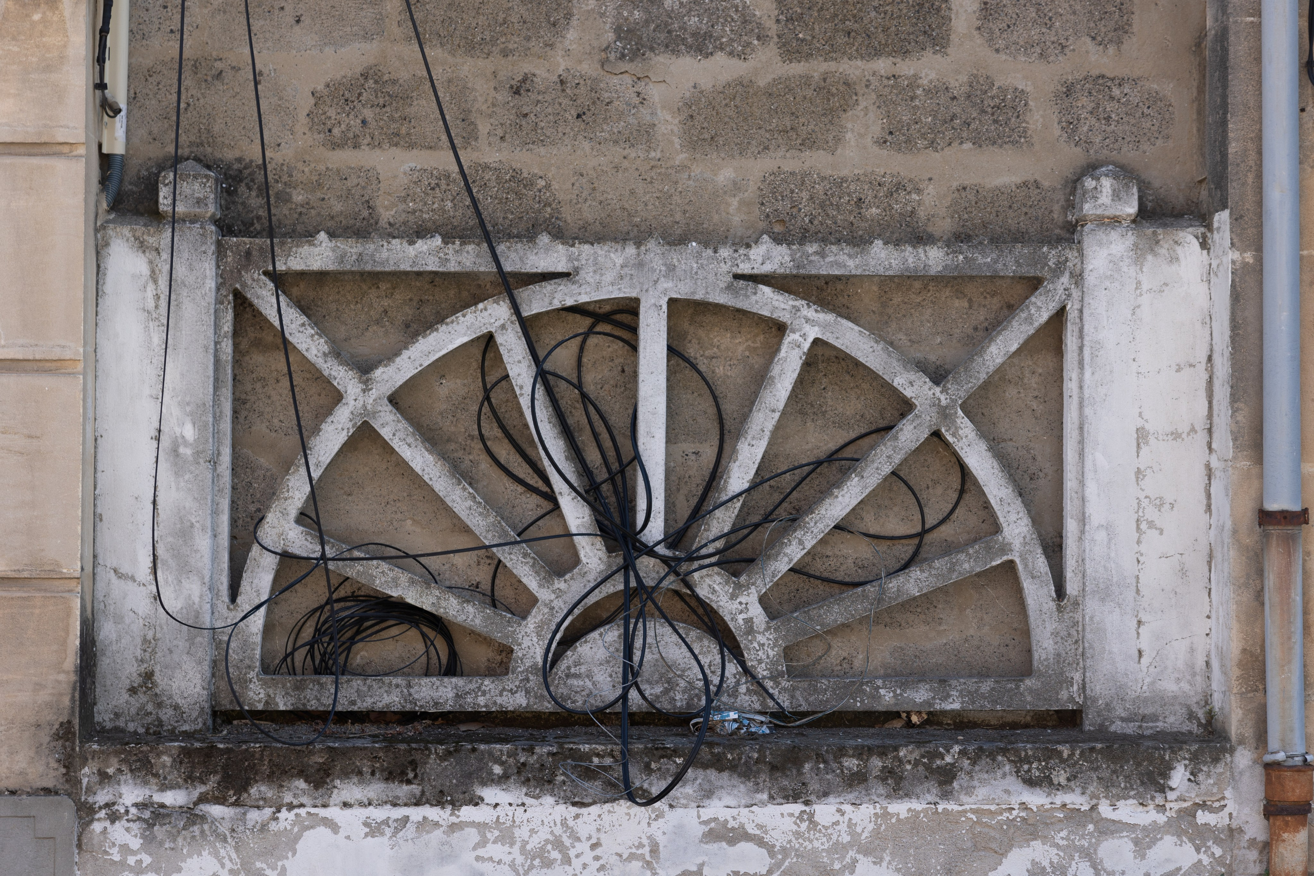 Art prints. Фотограф алина стерхова, алина стерхова фотограф, фотограф москва