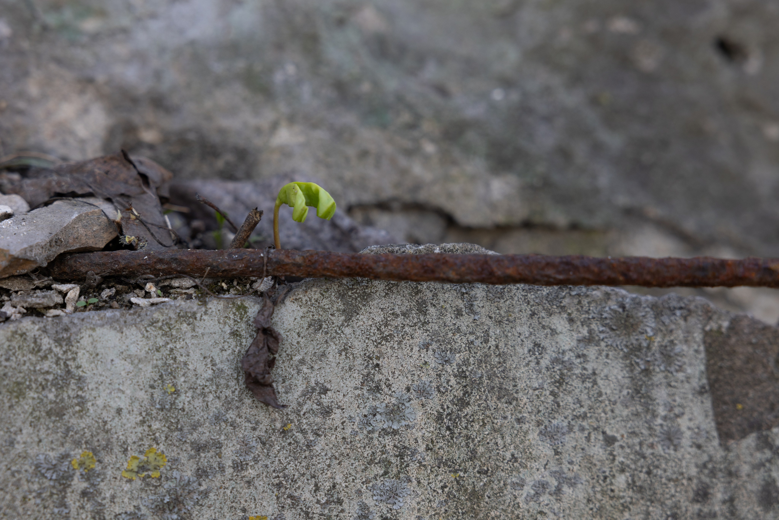 Art prints. Фотограф алина стерхова, алина стерхова фотограф, фотограф москва