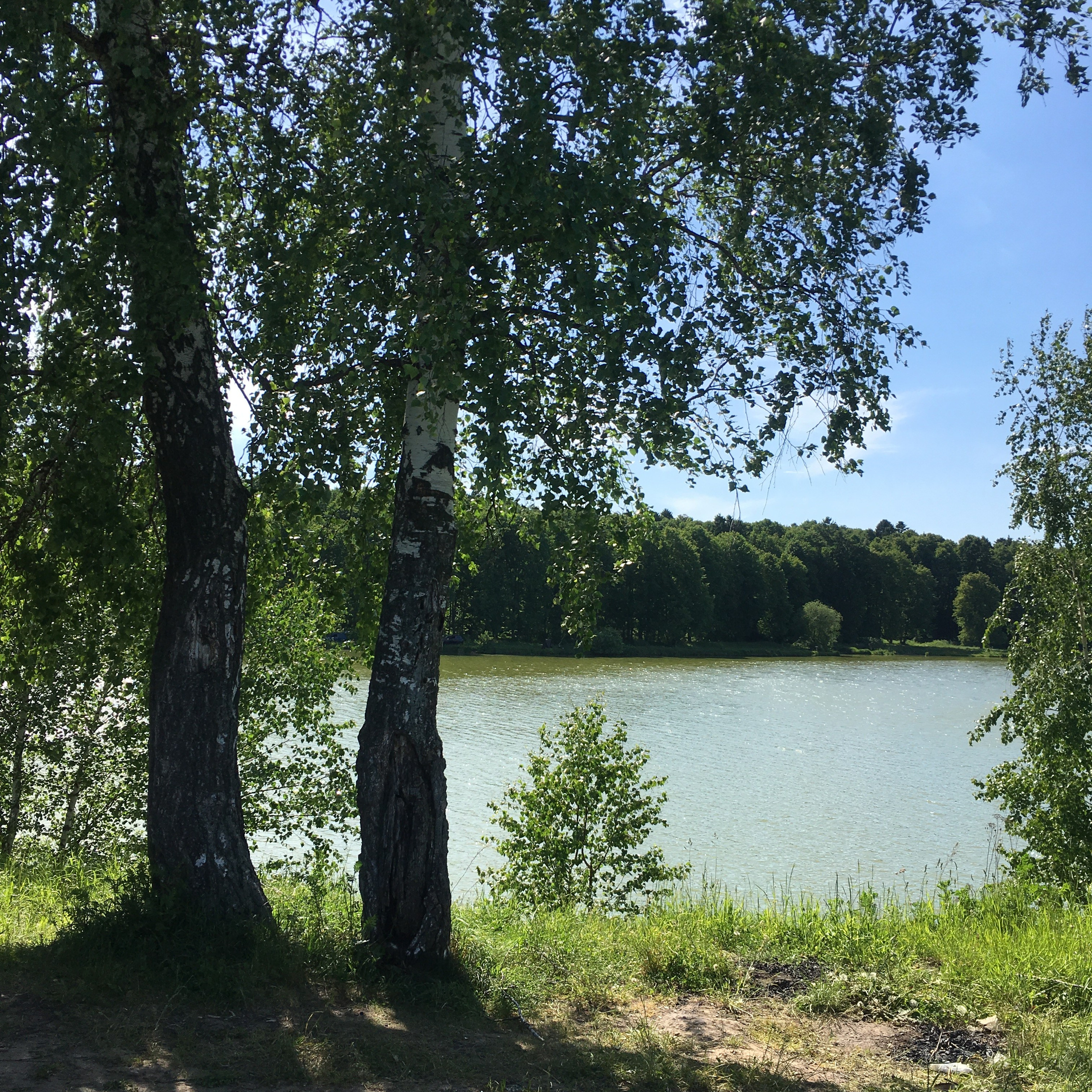 Львовская -18. Своя Мастерская