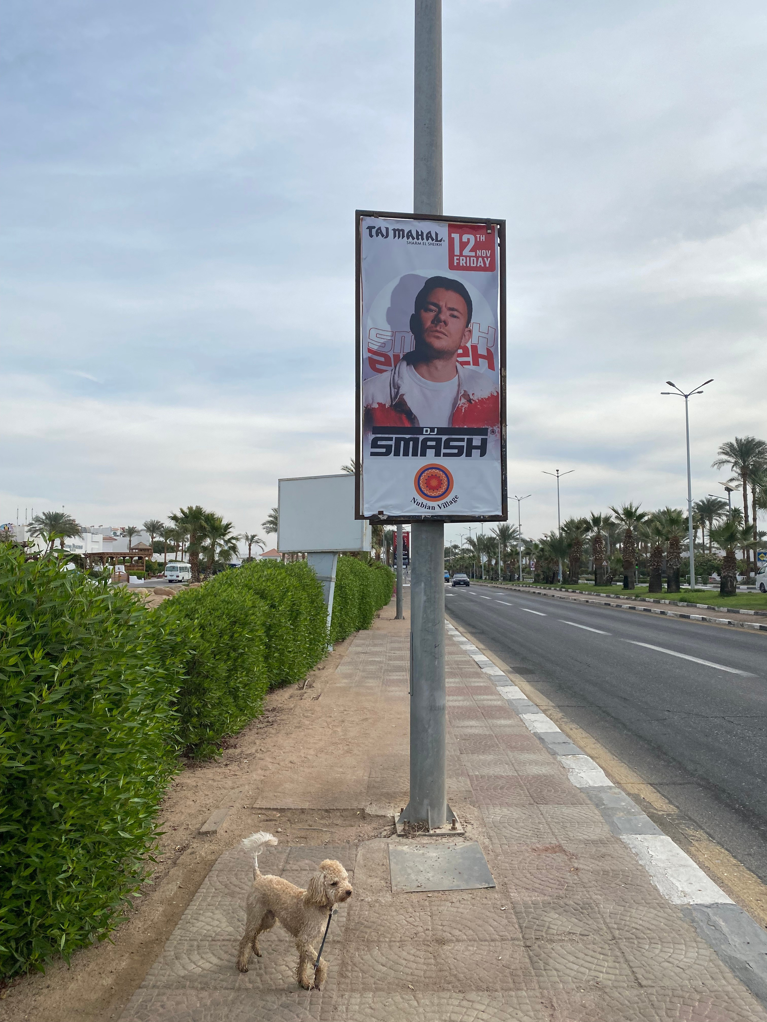 Египет — 21. Своя Мастерская