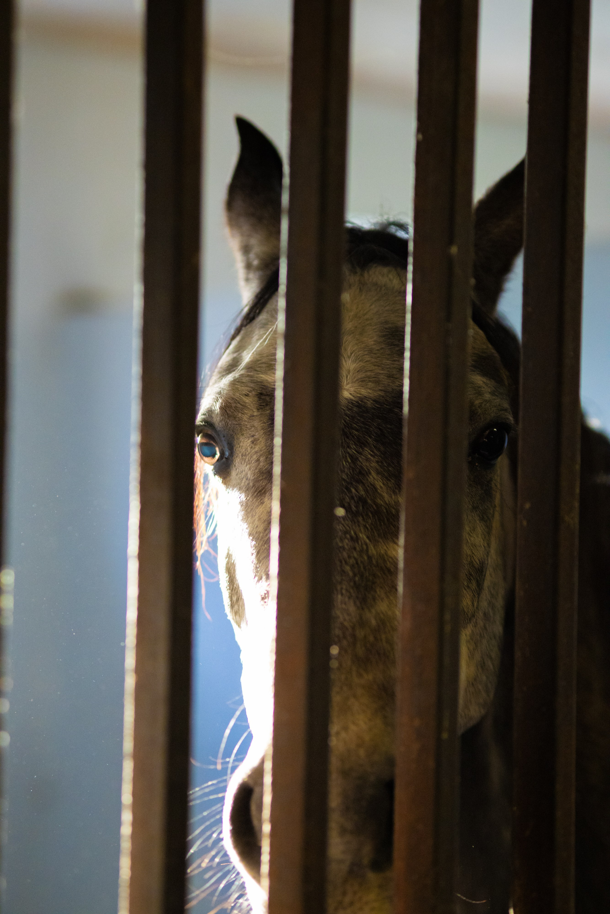 Контакты. Главная