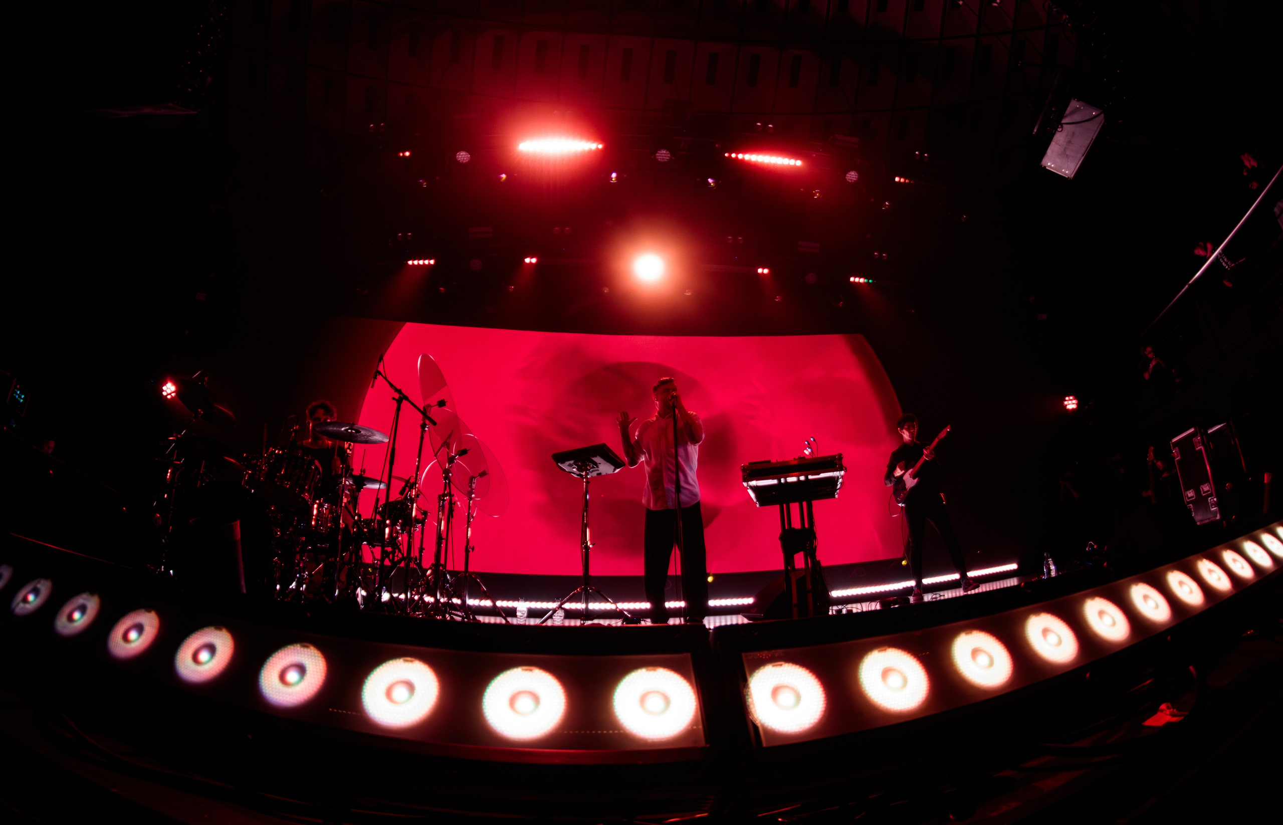 Дельфин. Портретный и концертный фотограф в Санкт-Петербурге Егор Телятников