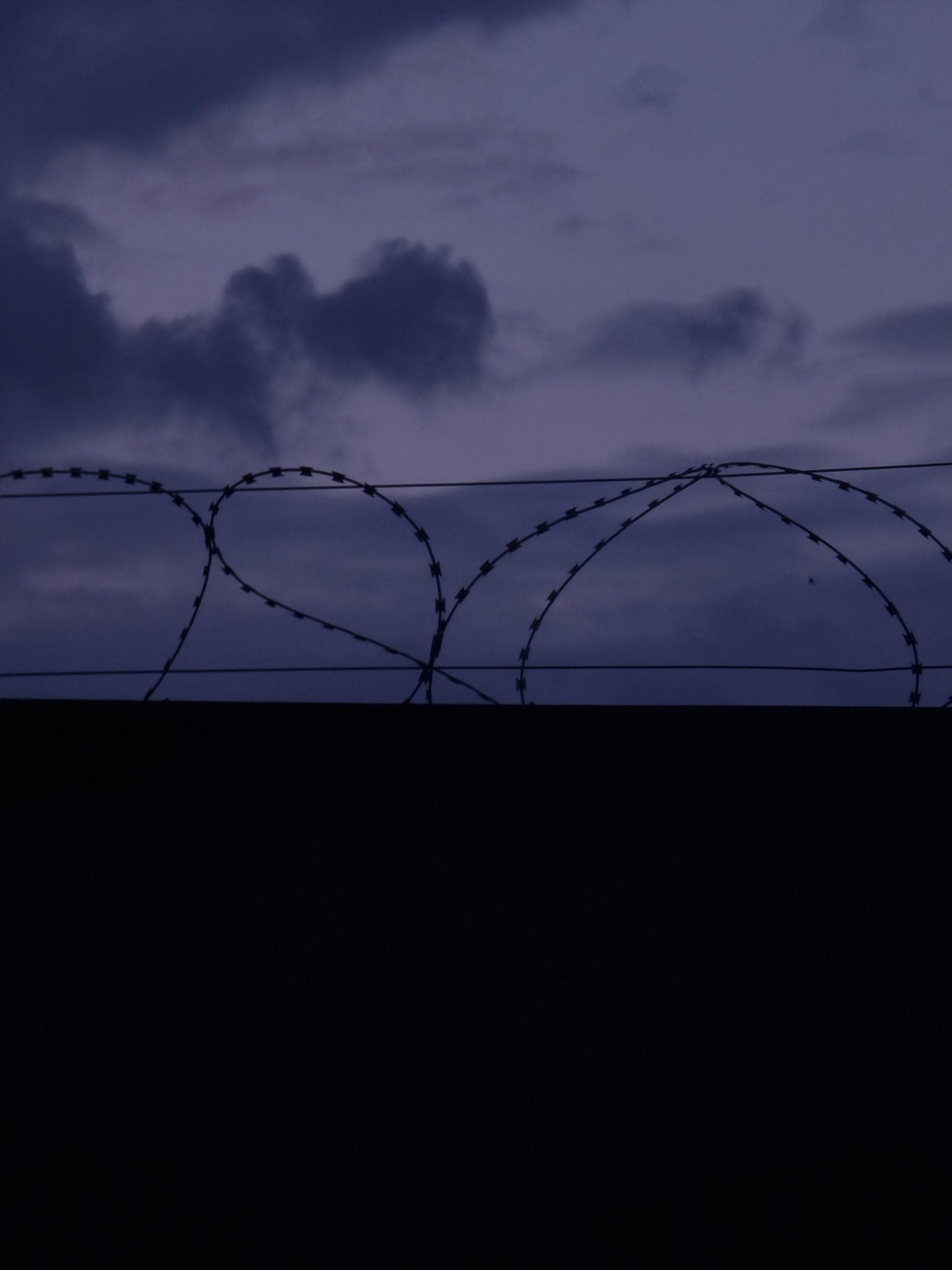 Июль 2025. Den Mirov — Фотограф, Музыкант