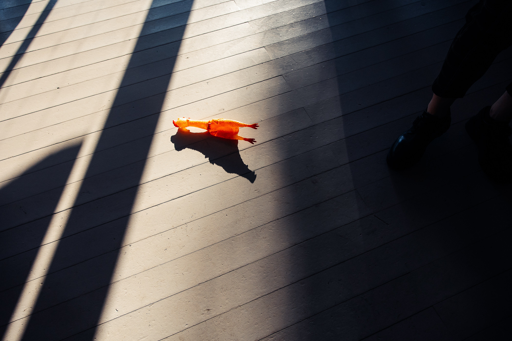 Вячеслав и Екатерина. Организация и координация свадебных и семейных торжеств