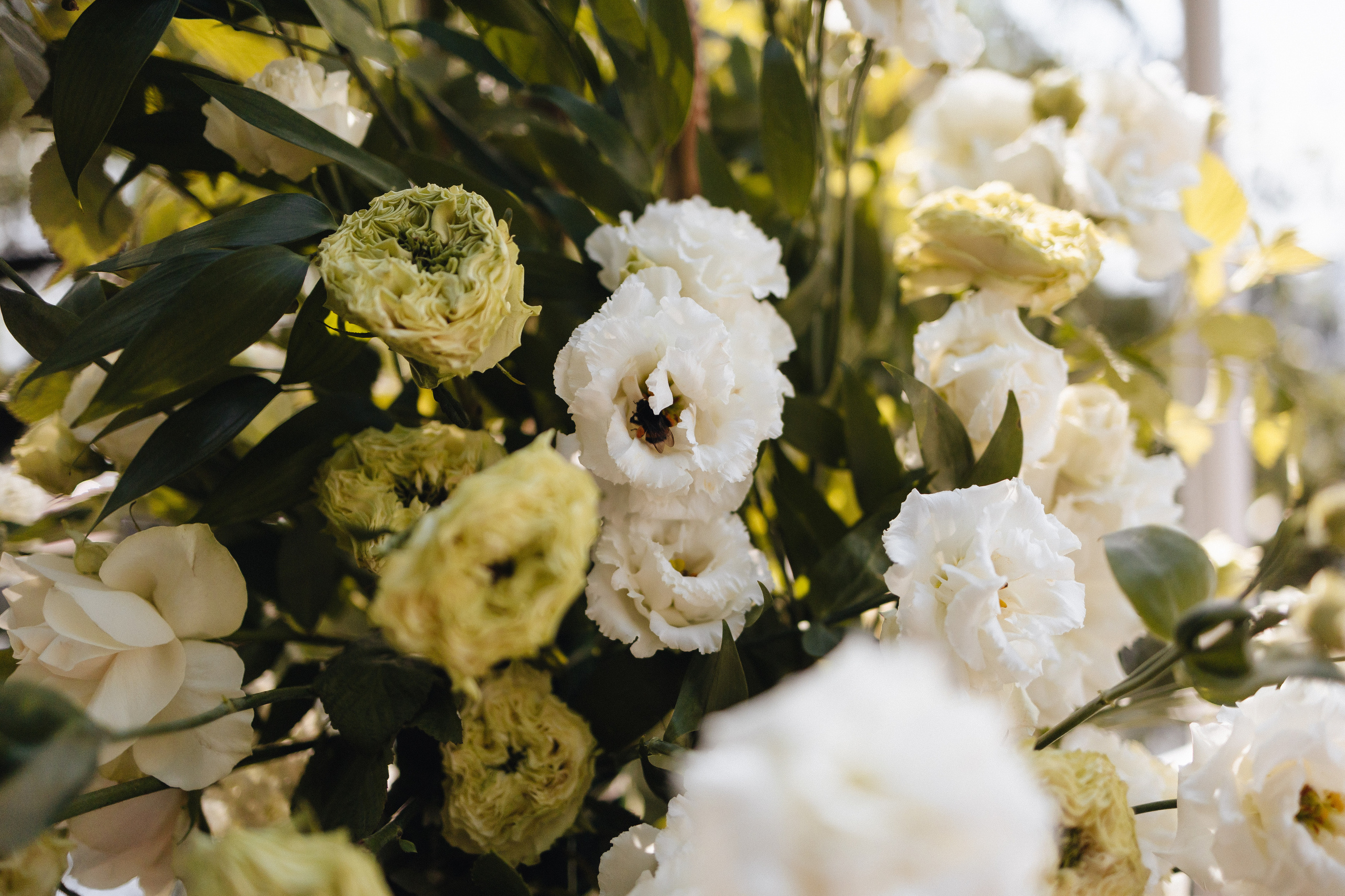 Владимир и Ольга. Организация и координация свадебных и семейных торжеств