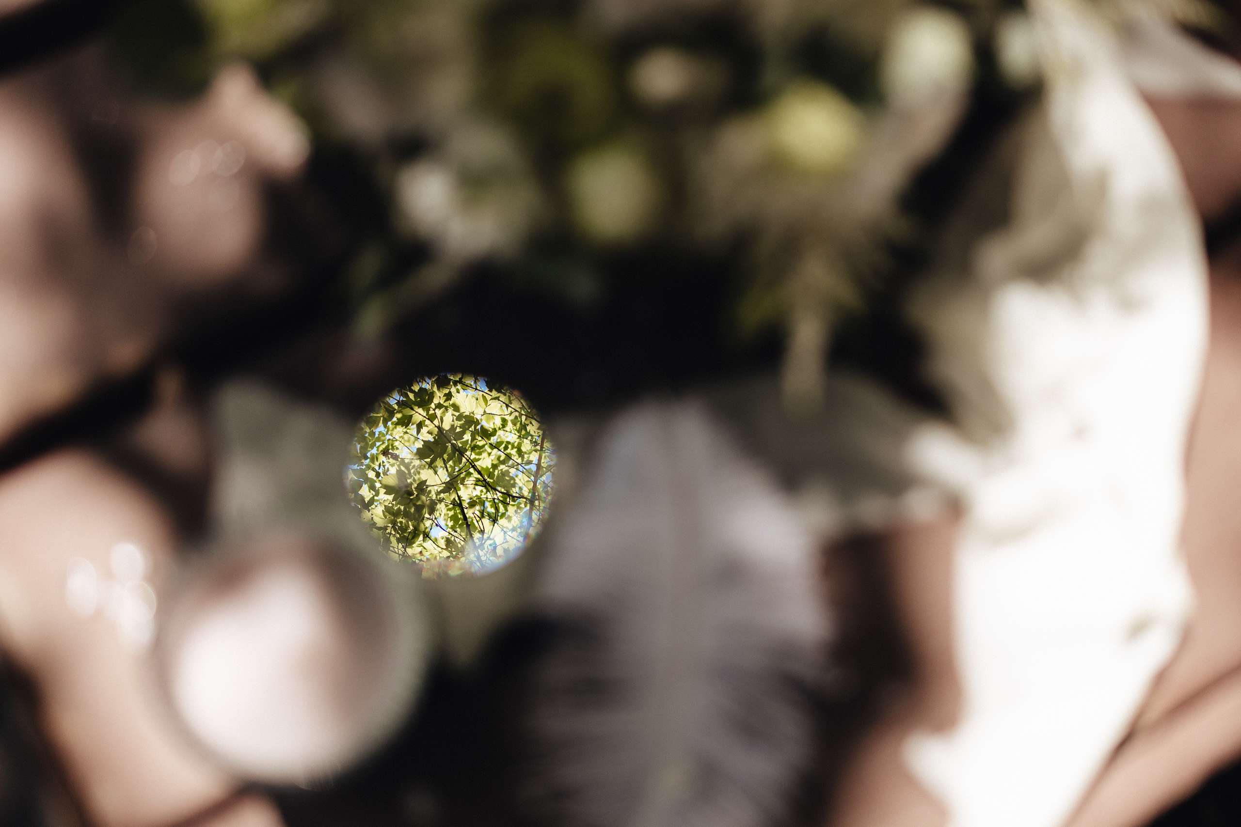 Владимир и Ольга. Организация и координация свадебных и семейных торжеств