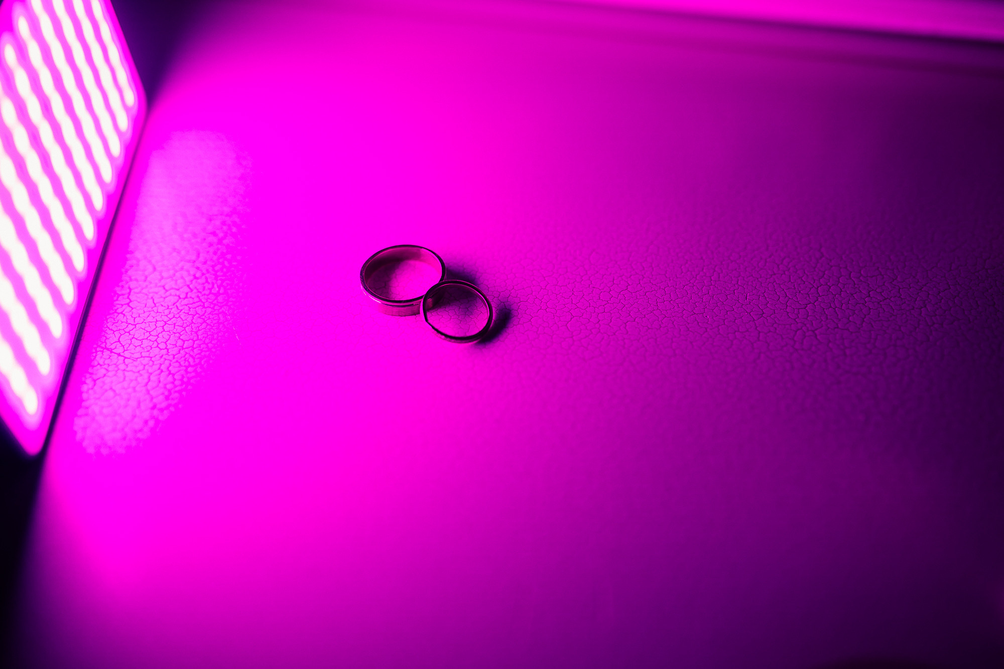 Геннадий и Александра. Организация и координация свадебных и семейных торжеств