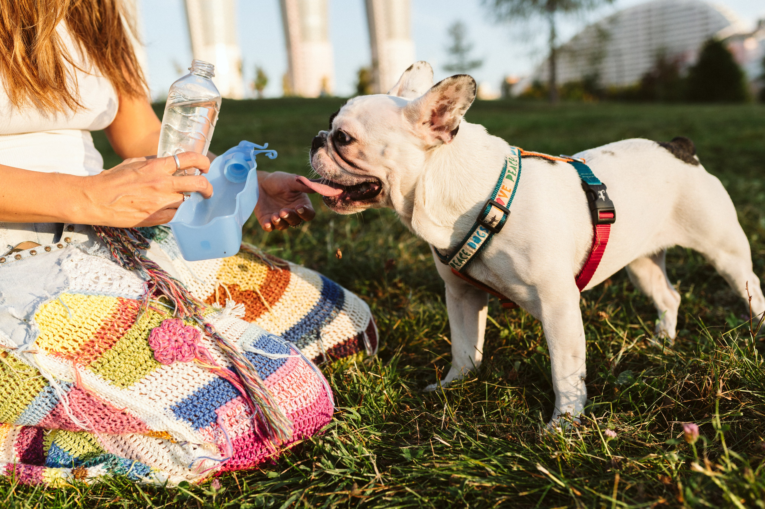 Инна и Белль. Фотограф анималист в Москве Ольга Агушева