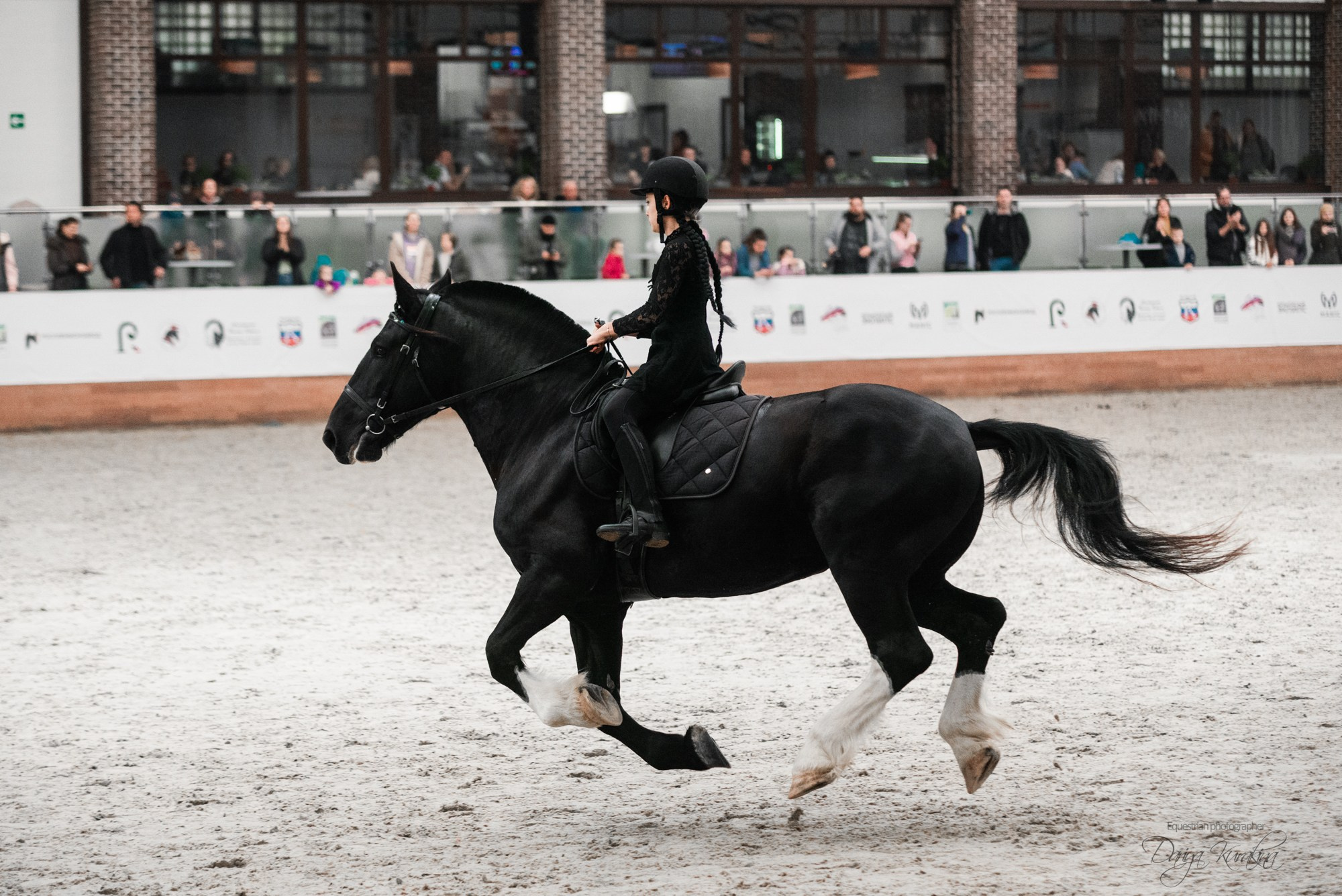 8-я международная выставка Конная Россия. Конный фотограф Куракина Дарья • Фотосессии с лошадьми
