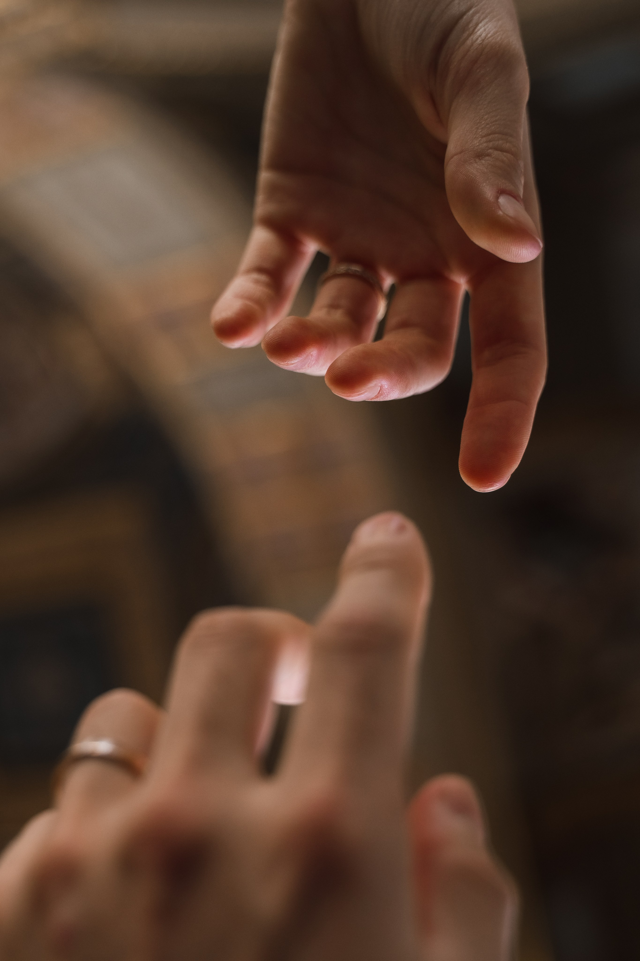 Илья + Екатерина