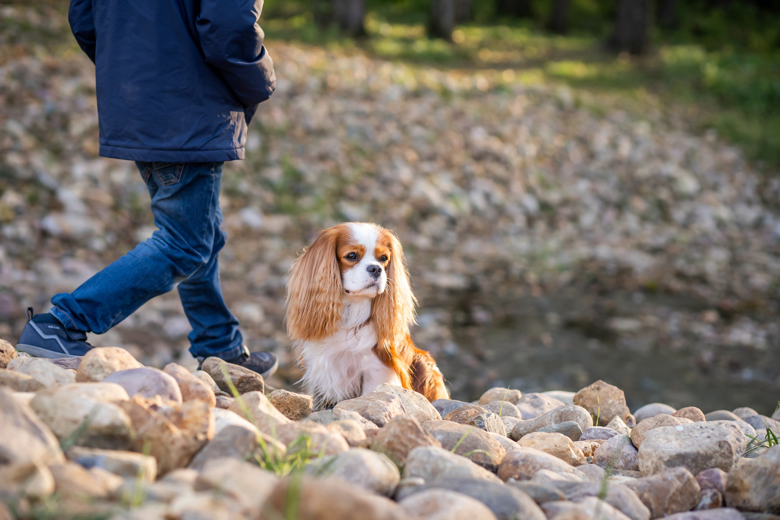 Осень. Фотограф Казакова Анастасия