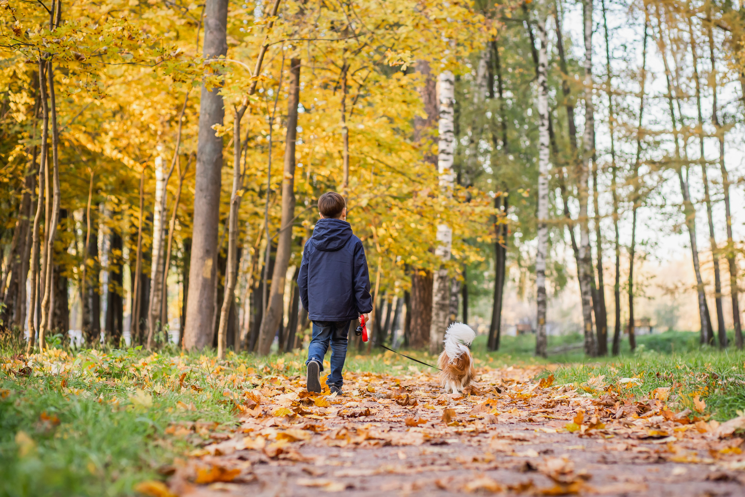 Осень. Фотограф Казакова Анастасия