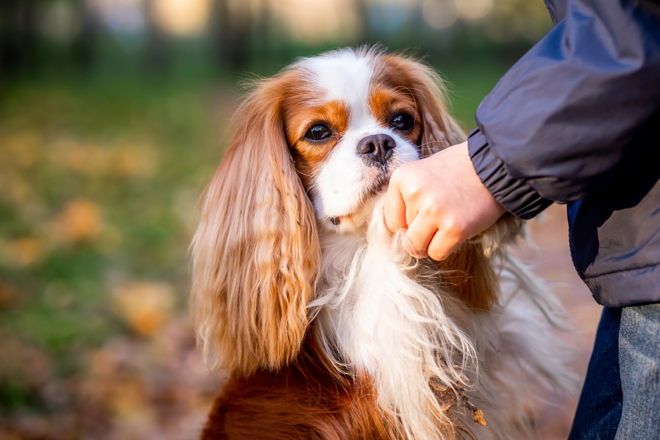Осень. Фотограф Казакова Анастасия