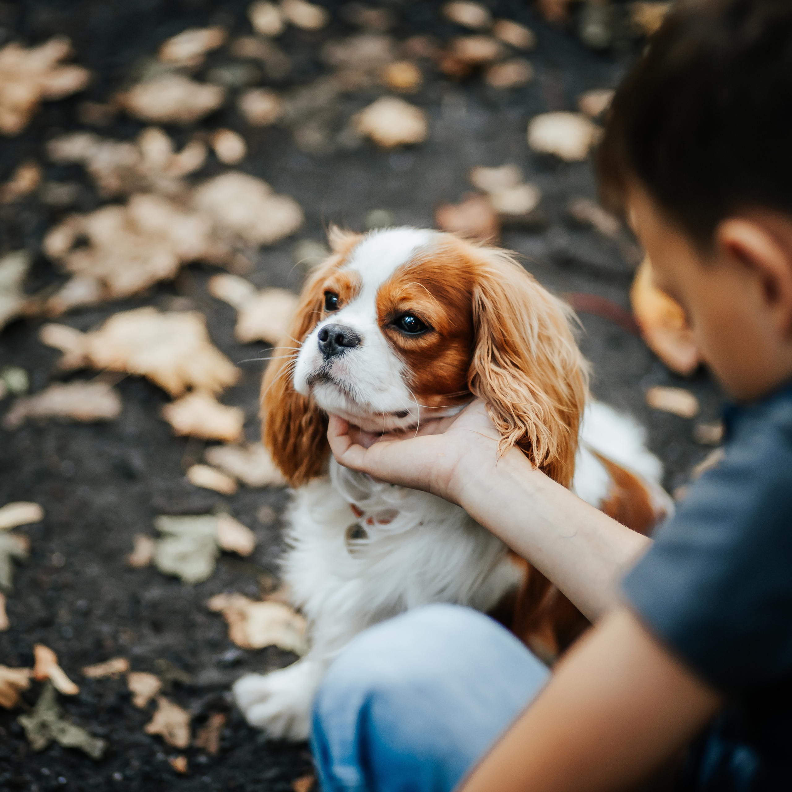 Федор и Кевин. Фотограф Казакова Анастасия