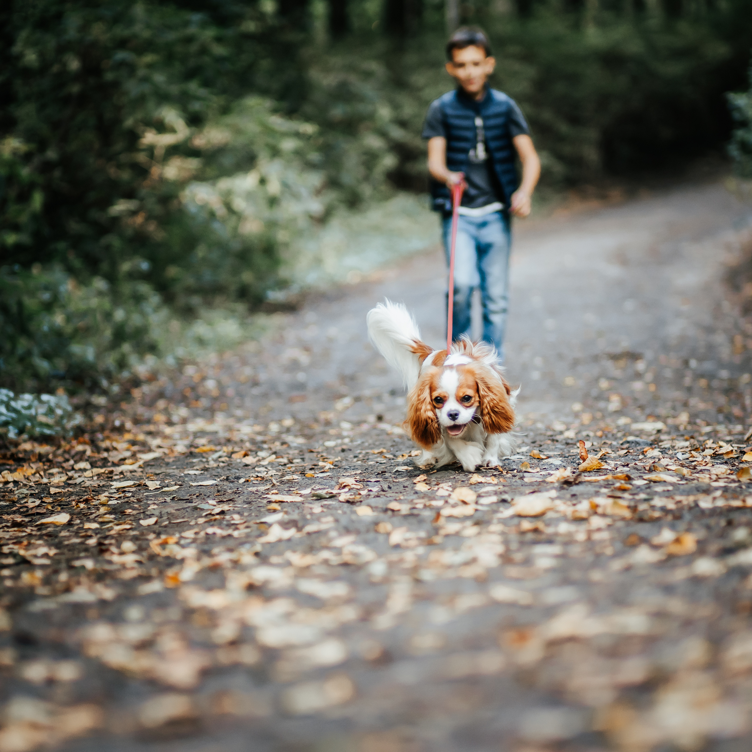 Федор и Кевин. Фотограф Казакова Анастасия