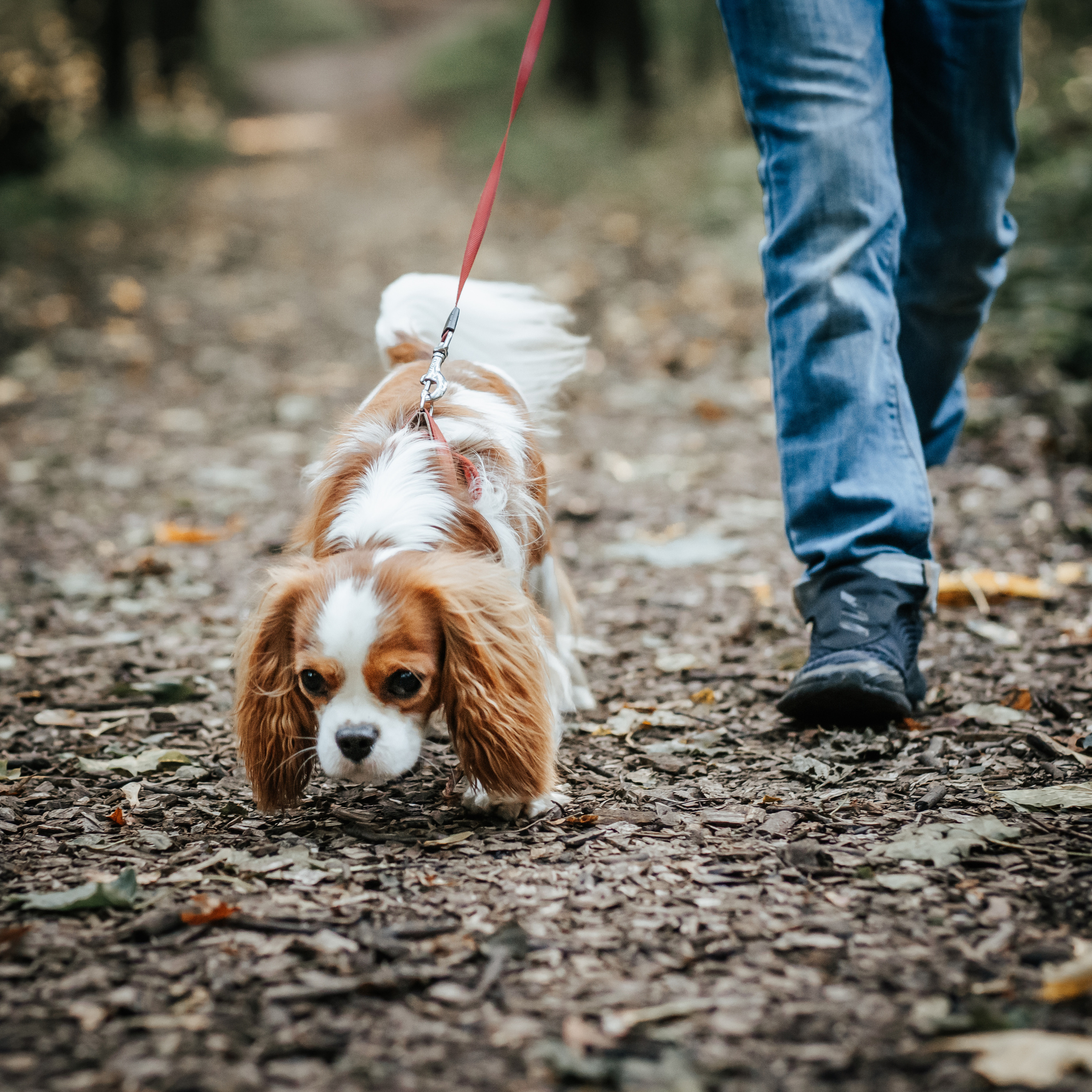 Федор и Кевин. Фотограф Казакова Анастасия