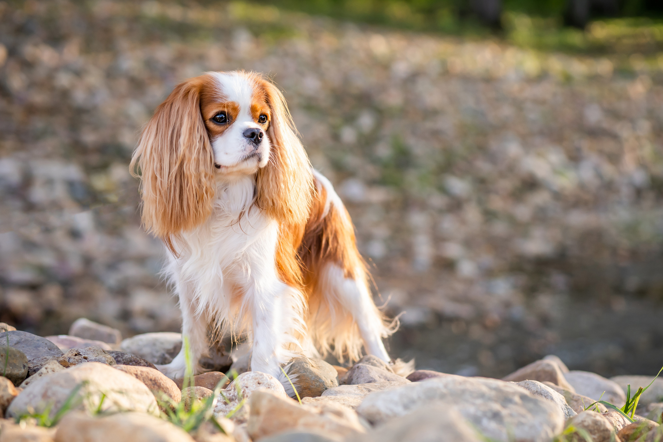 Осень. Фотограф Казакова Анастасия
