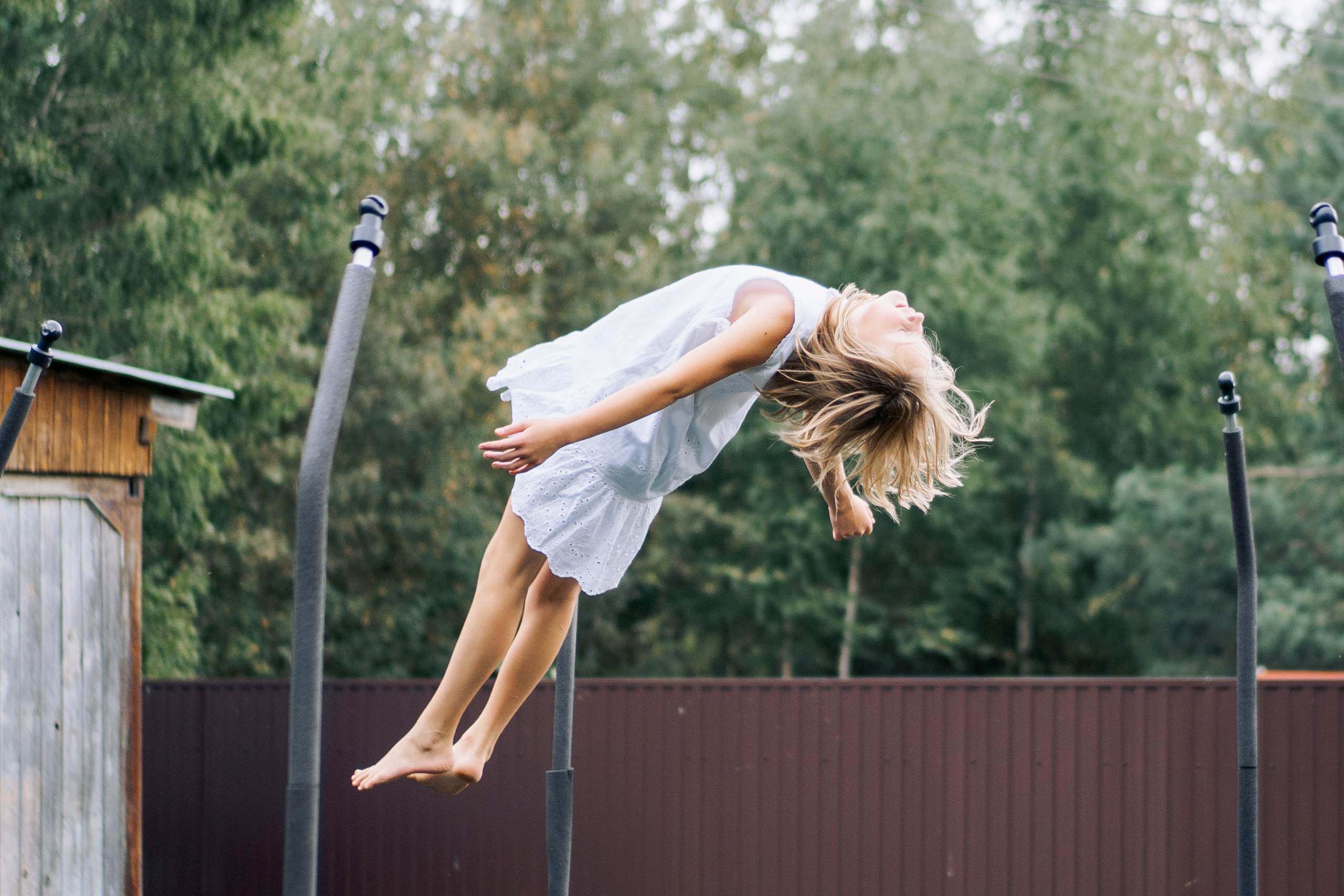 Кошки и утки. Фотограф Казакова Анастасия
