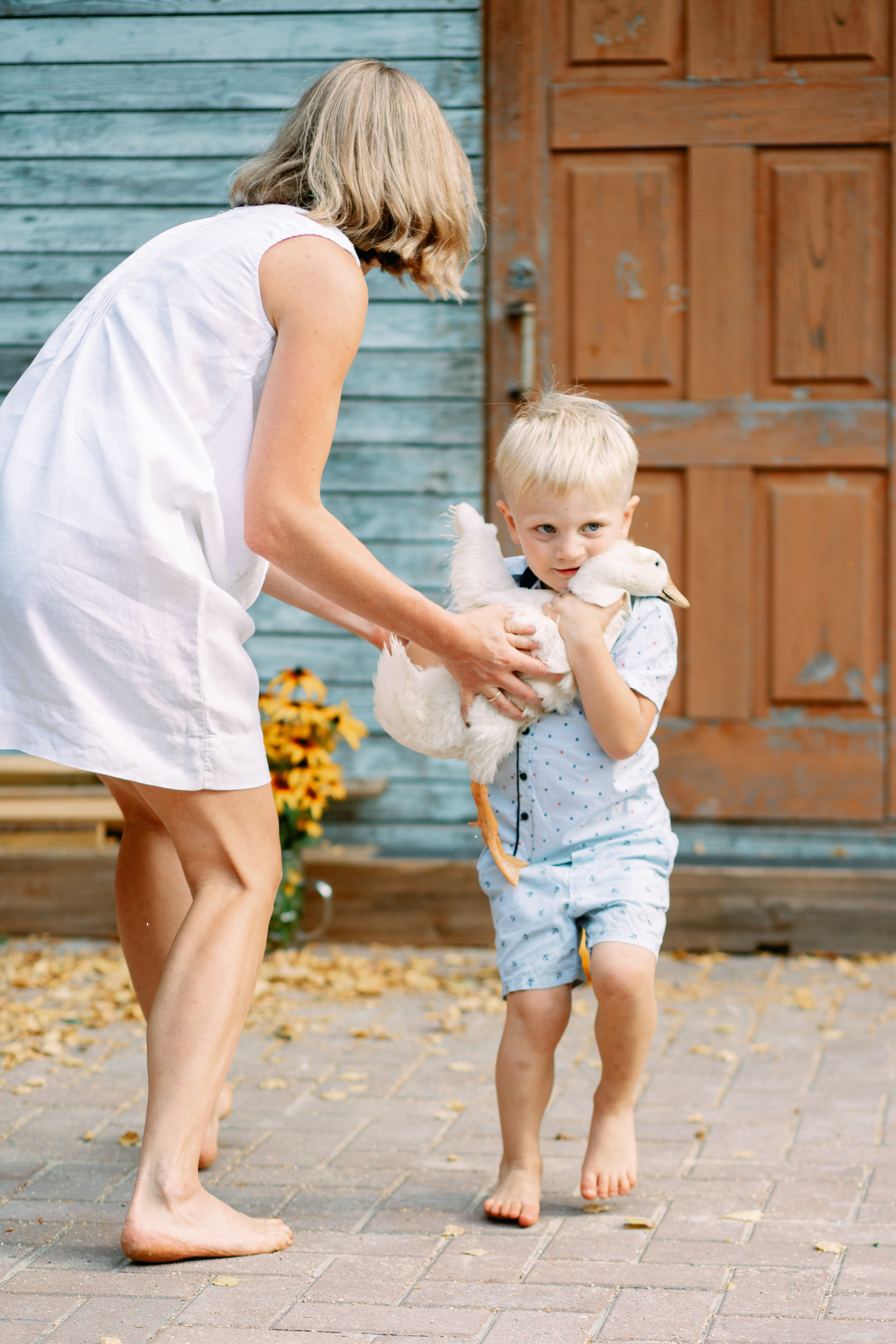 Кошки и утки. Фотограф Казакова Анастасия