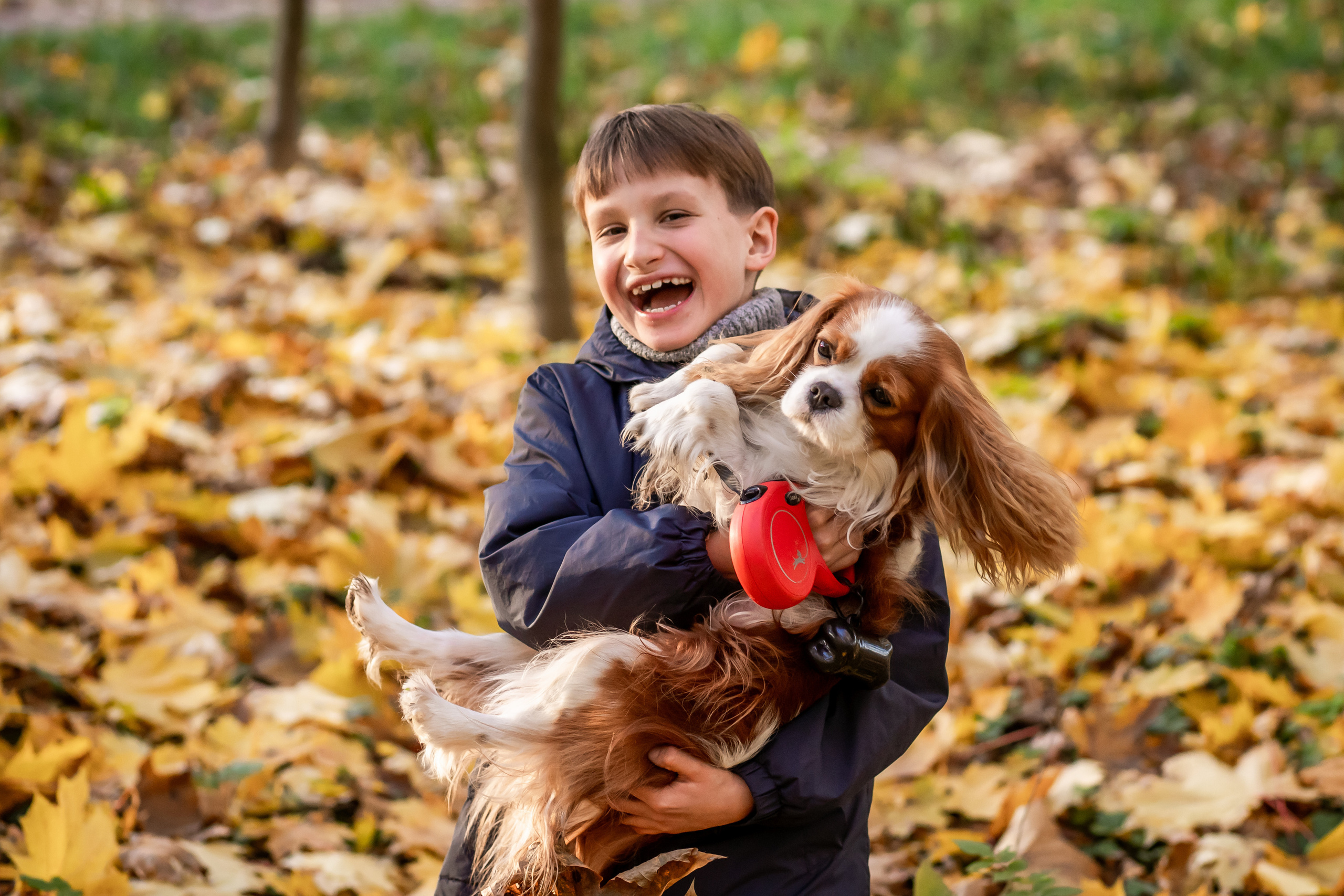 Осень. Фотограф Казакова Анастасия